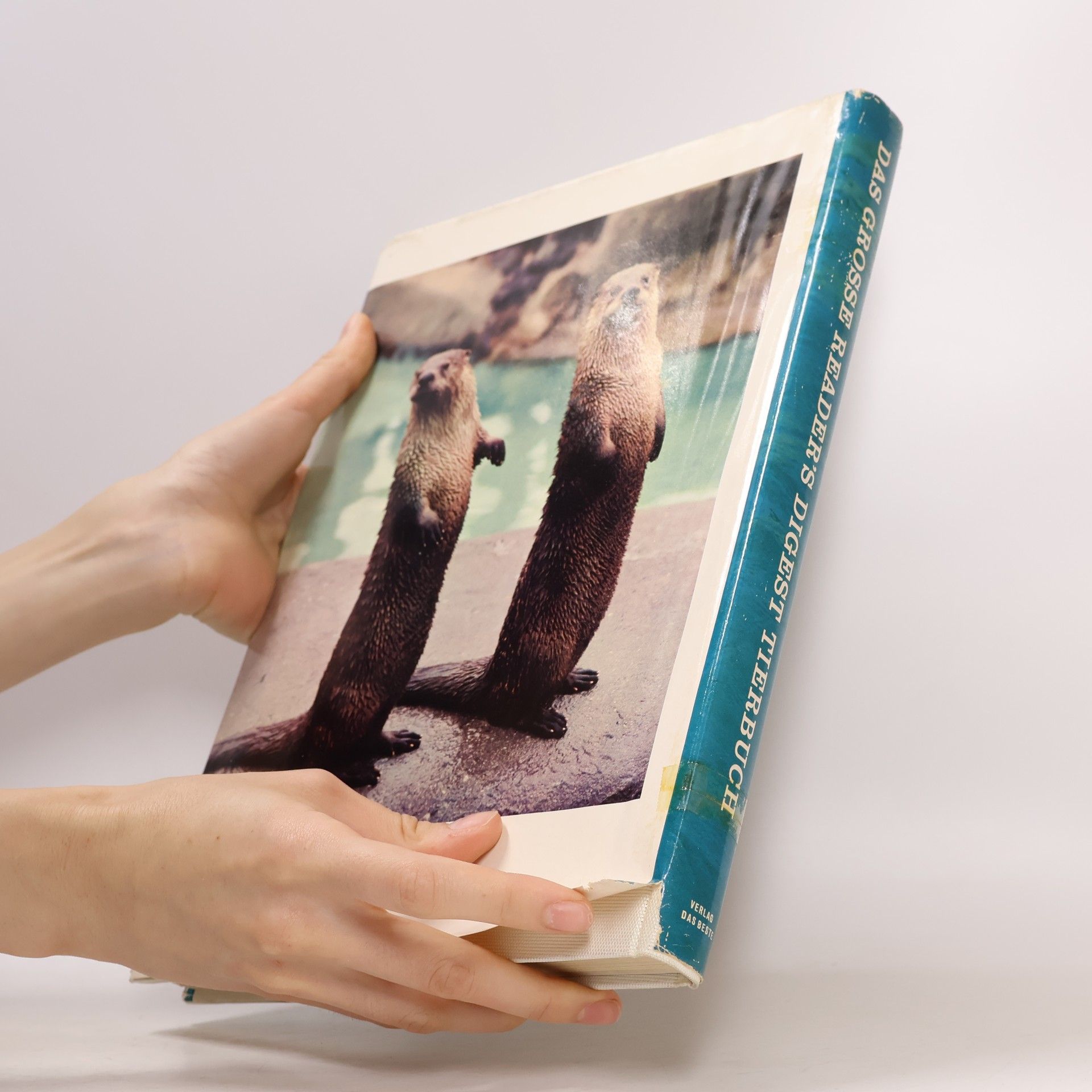 Collectif d'auteurs Das grosse Reader’s Digest Tierbuch