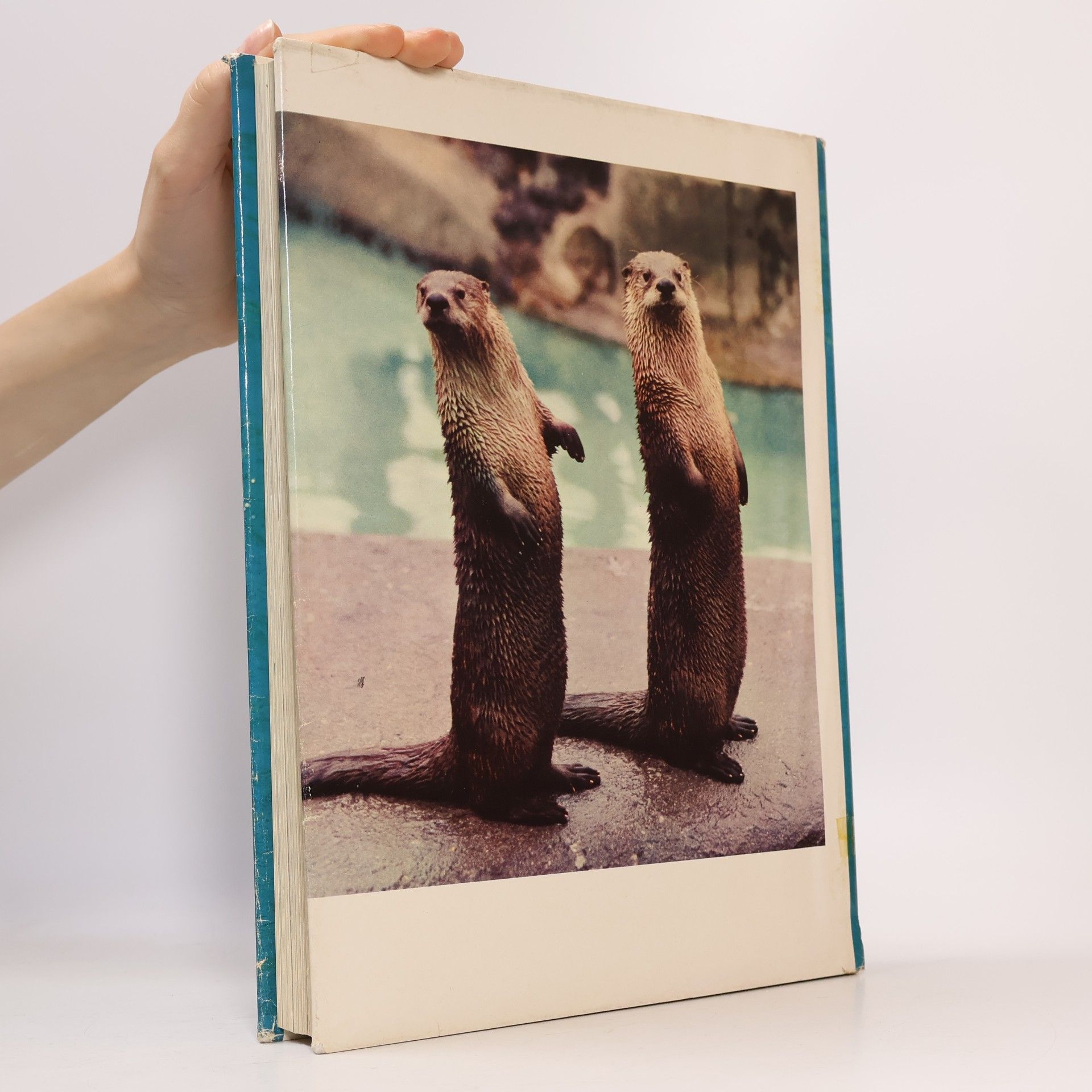 Collectif d'auteurs Das grosse Reader’s Digest Tierbuch