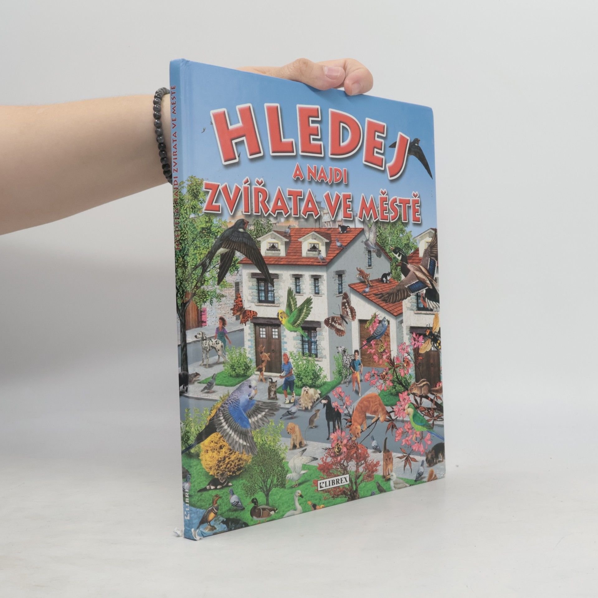 Autorenkollektiv Hledej a najdi zvířata ve městě