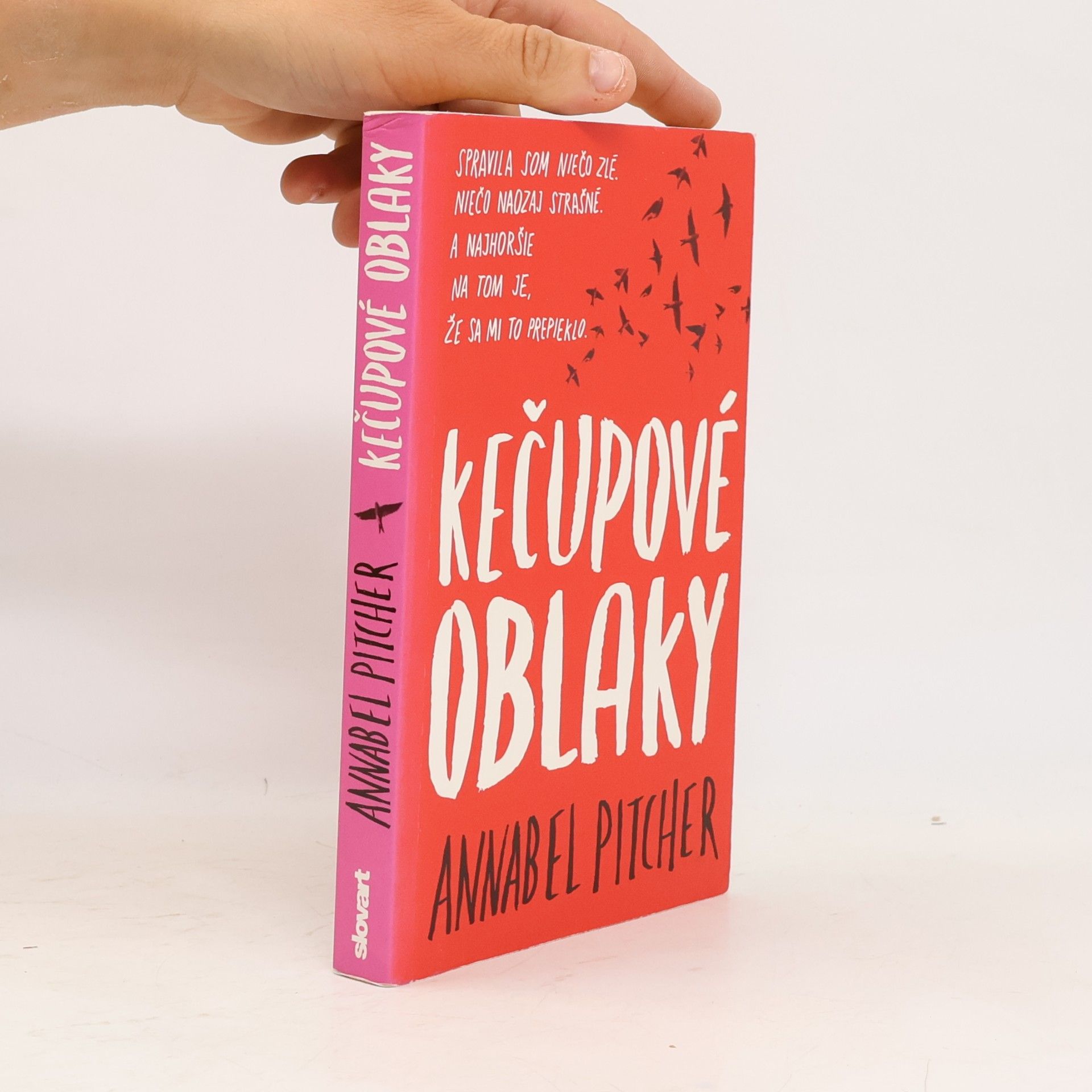 Annabel Pitcher Kečupové oblaky
