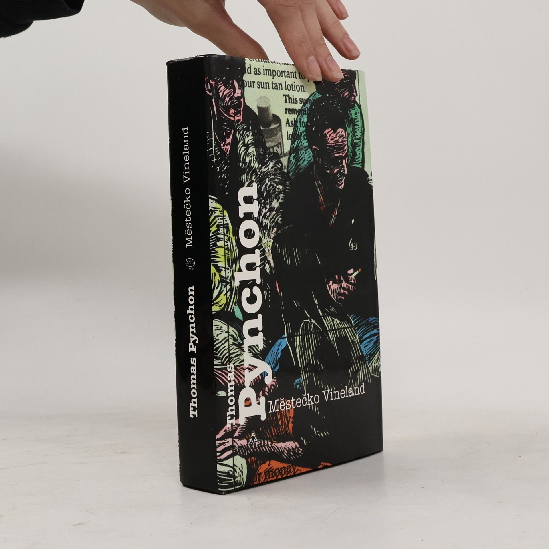 Thomas Pynchon Městečko Vineland