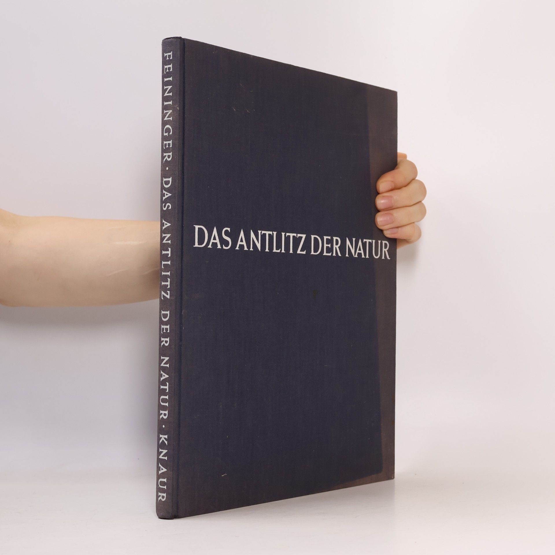 Das Antlitz der Natur