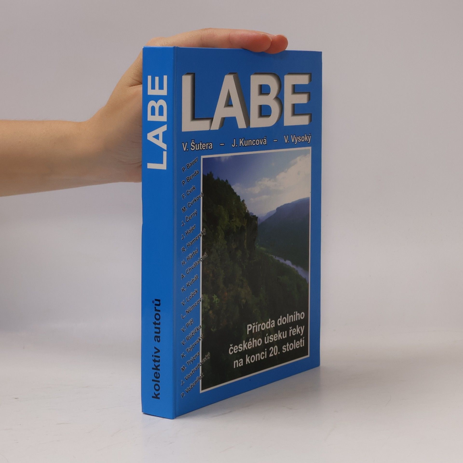 Autores varios Labe