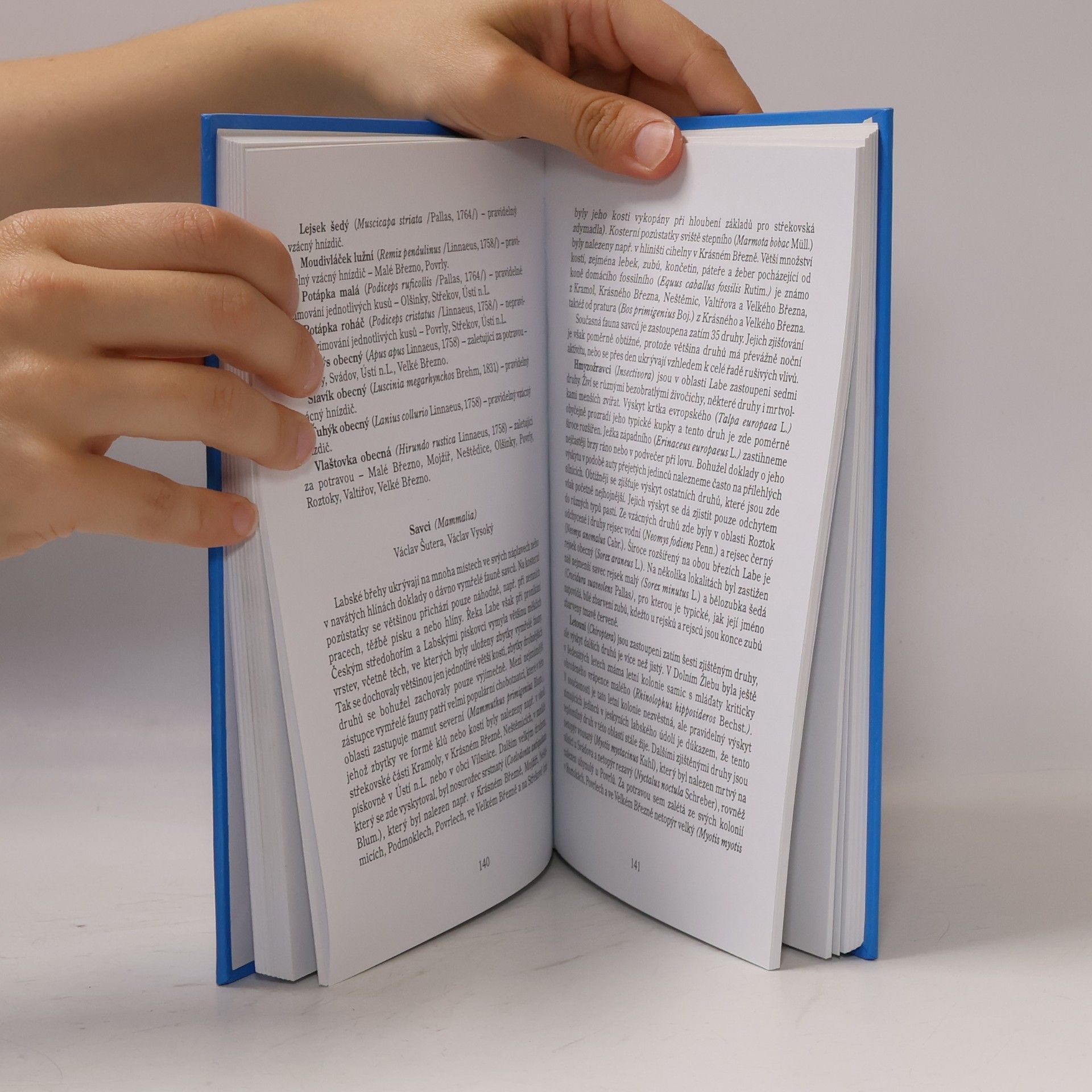 Autores varios Labe