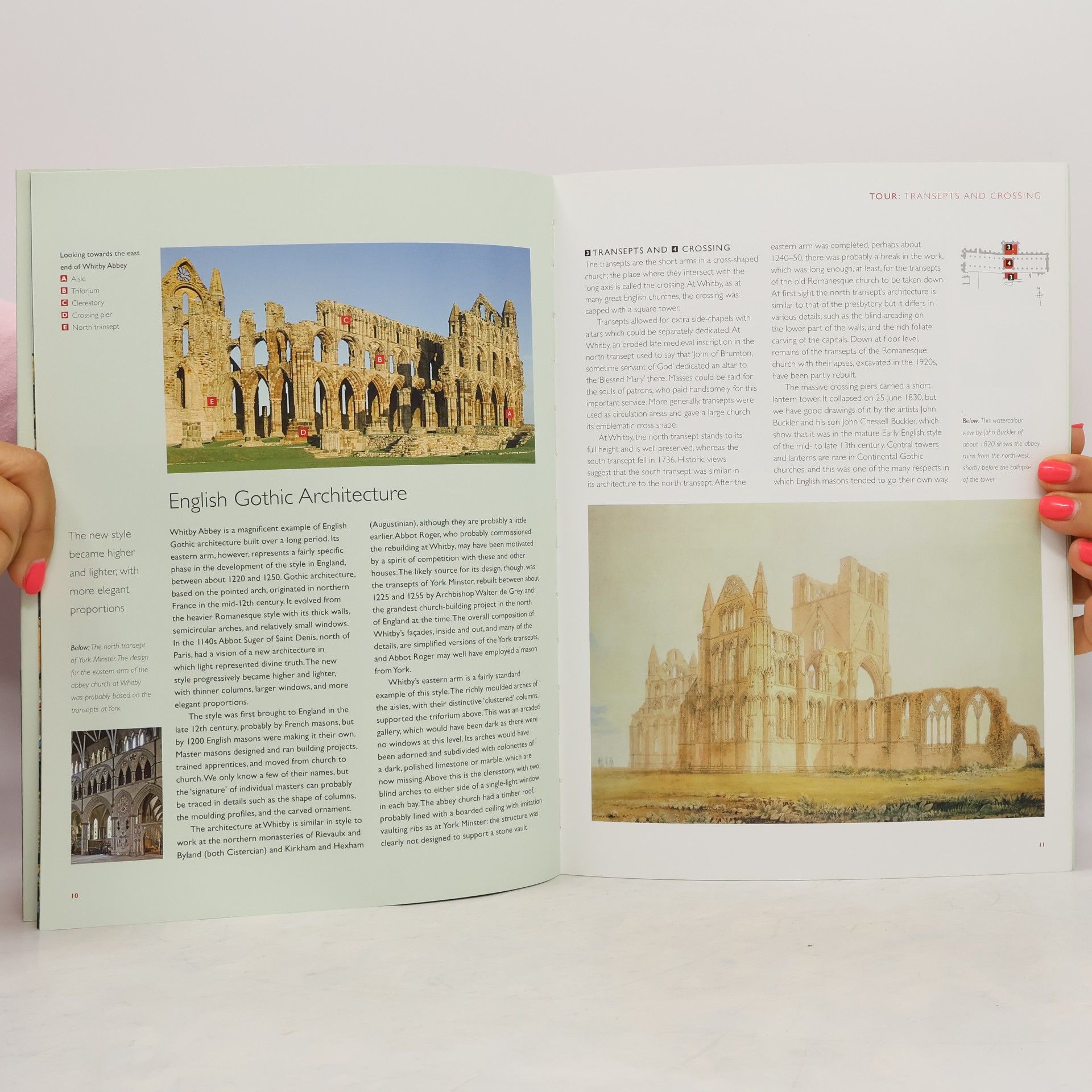 Steven Brindle English Heritage Guidebooks: Whitby Abbey - Guidebook