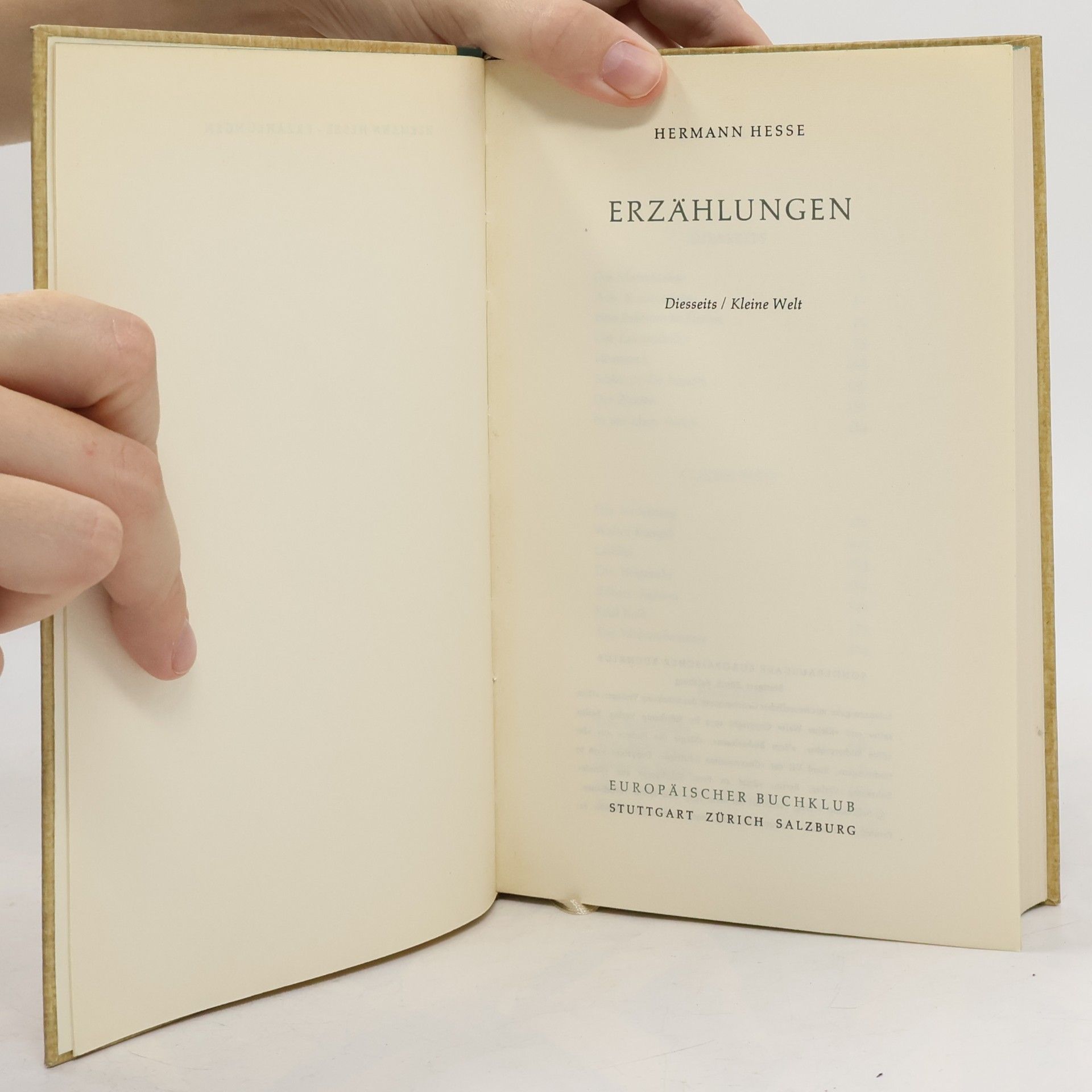 Hermann Hesse Erzählungen