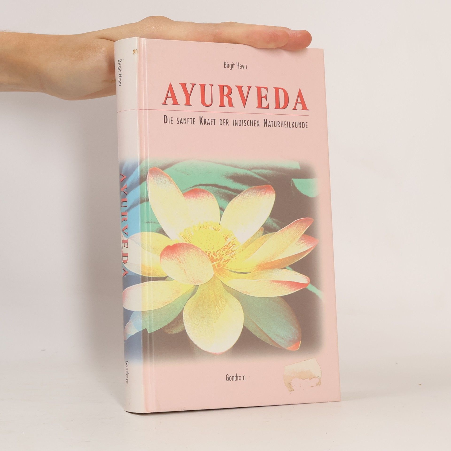 Birgit Heyn Ayurveda