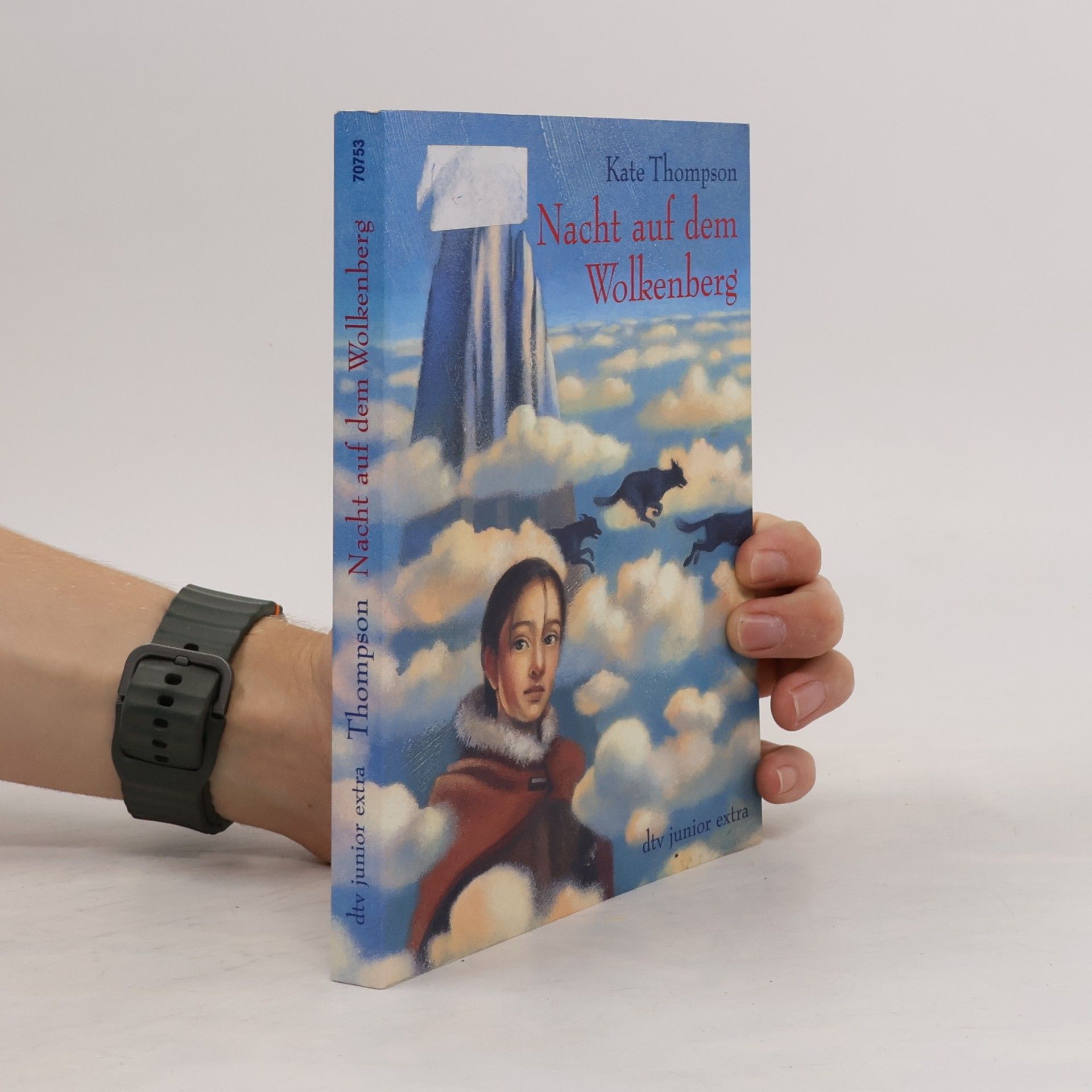 Kate Thompson Nacht auf dem Wolkenberg