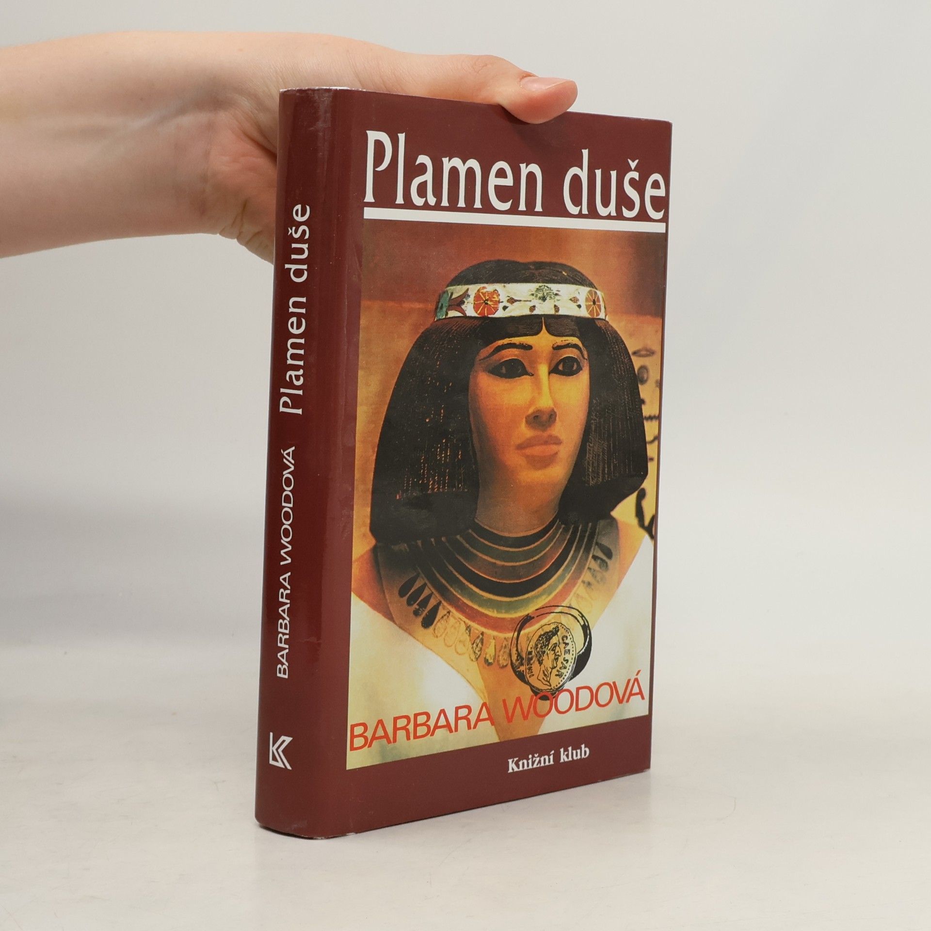 Barbara Wood Plamen duše