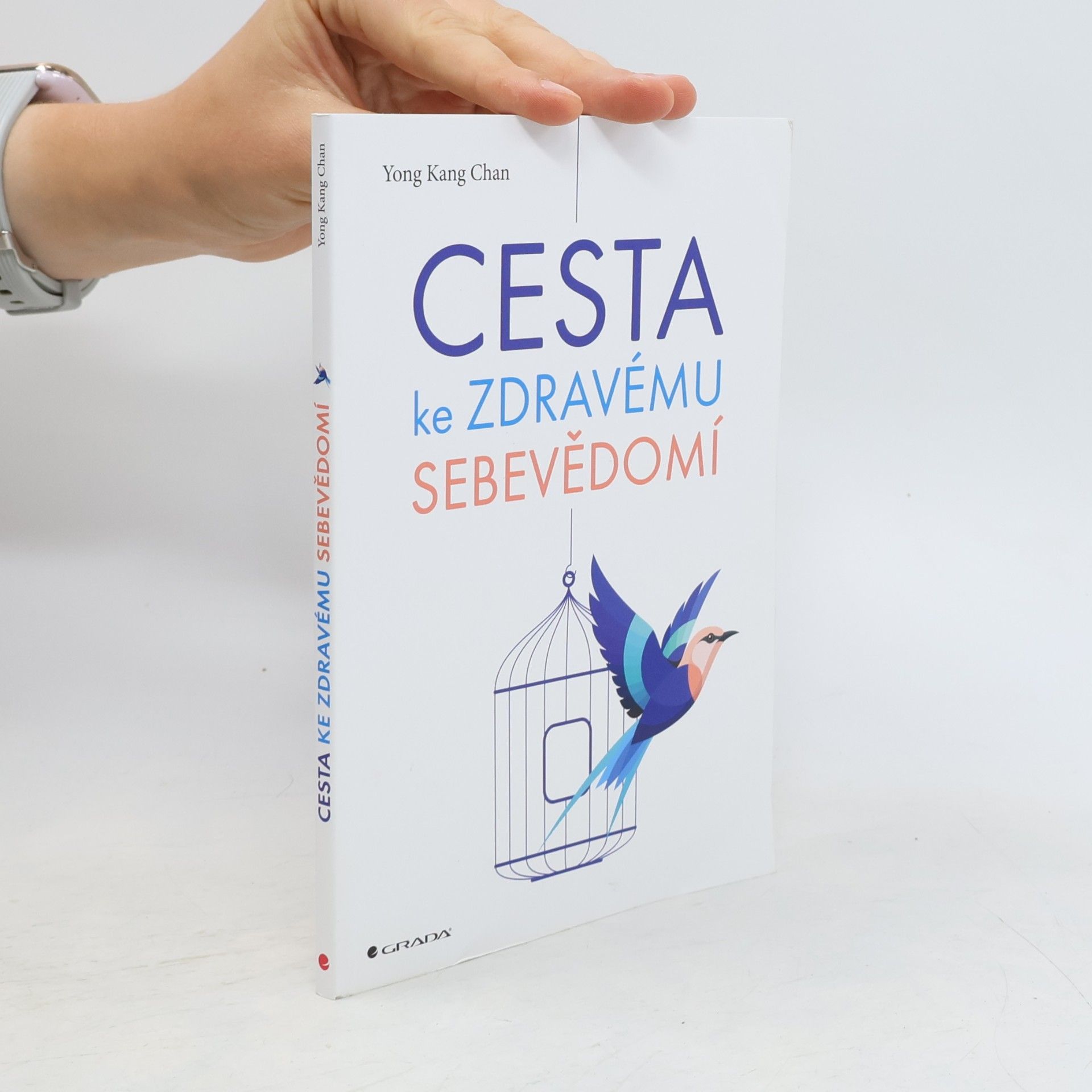 Yong Kang Chan Cesta ke zdravému sebevědomí