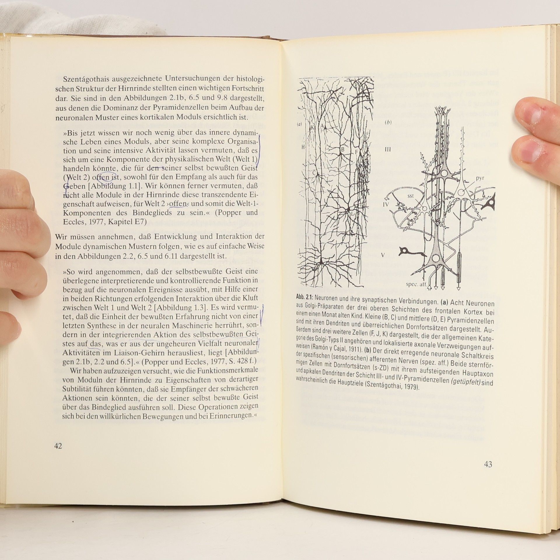 John C. Eccles Wie das Selbst sein Gehirn steuert