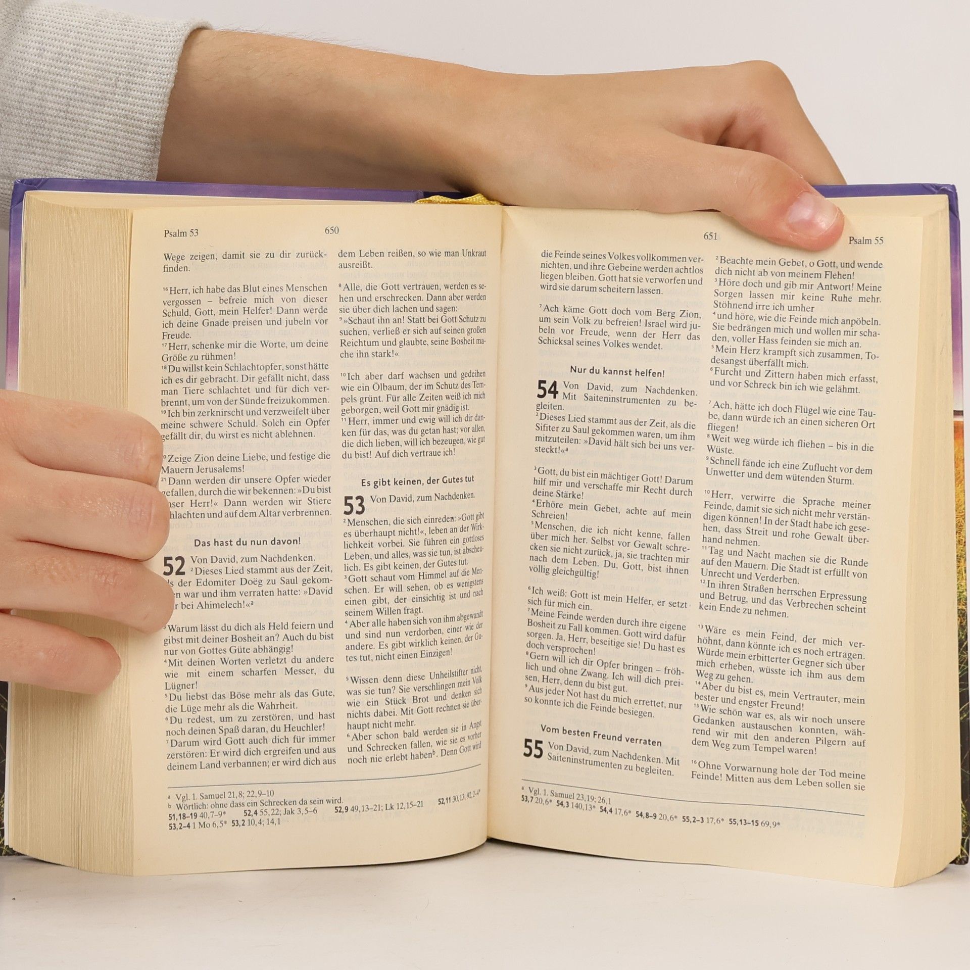 Kolektiv autorů Hoffnung für alle. Die Bibel