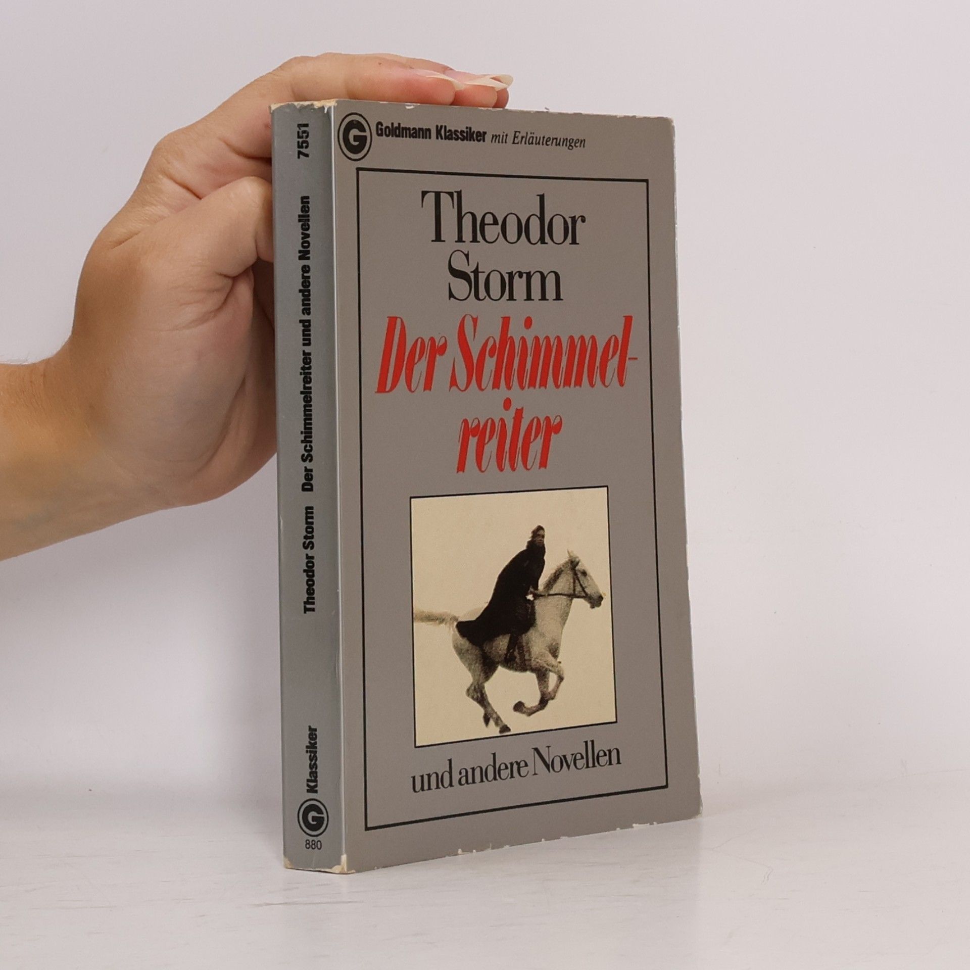 Der Schimmelreiter und andere Novellen