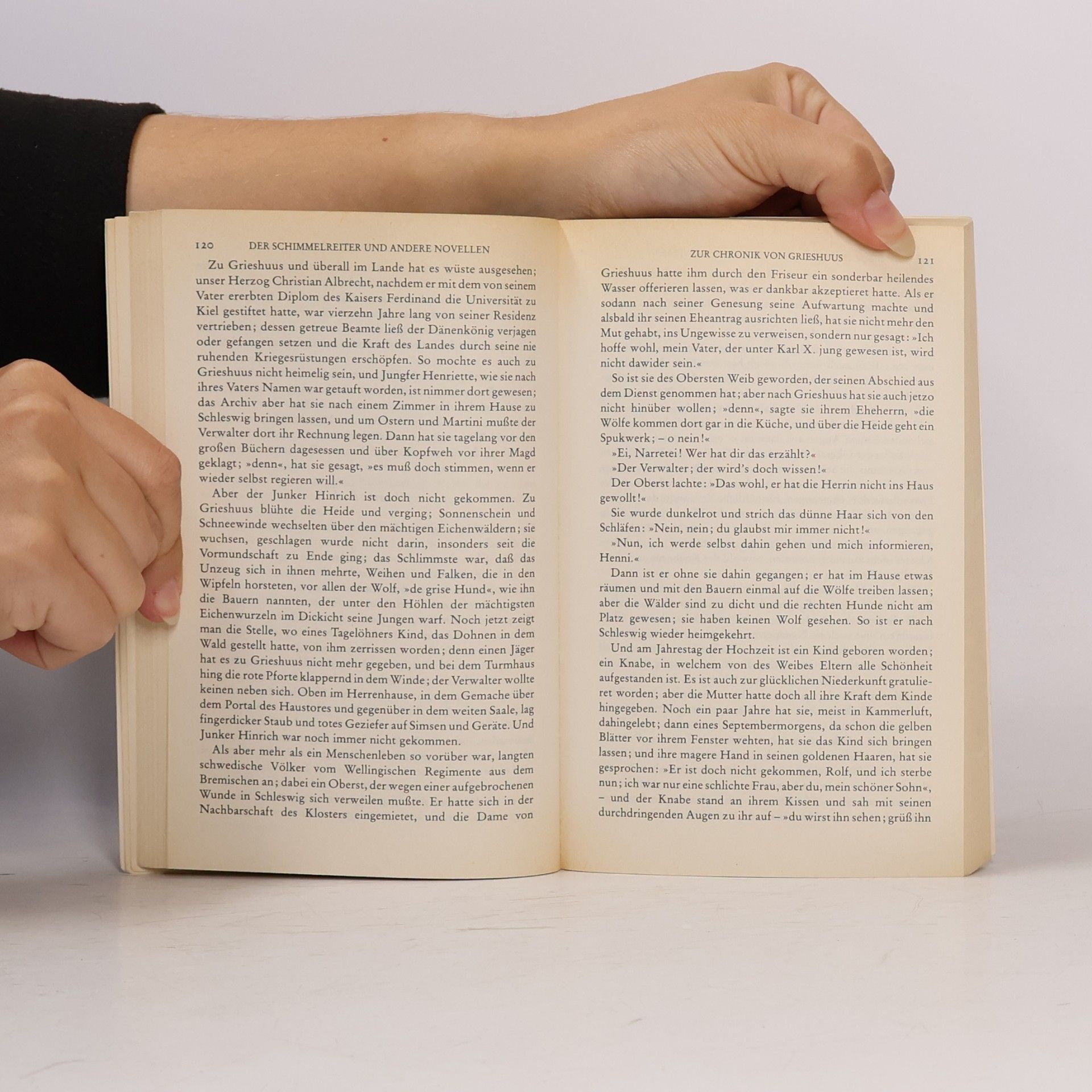 Theodor Storm Der Schimmelreiter und andere Novellen