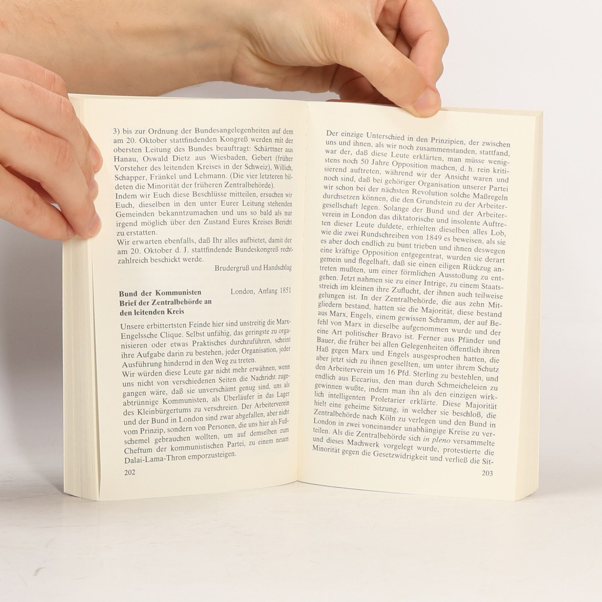 Kolektiv autorů Gespräche mit Marx und Engels