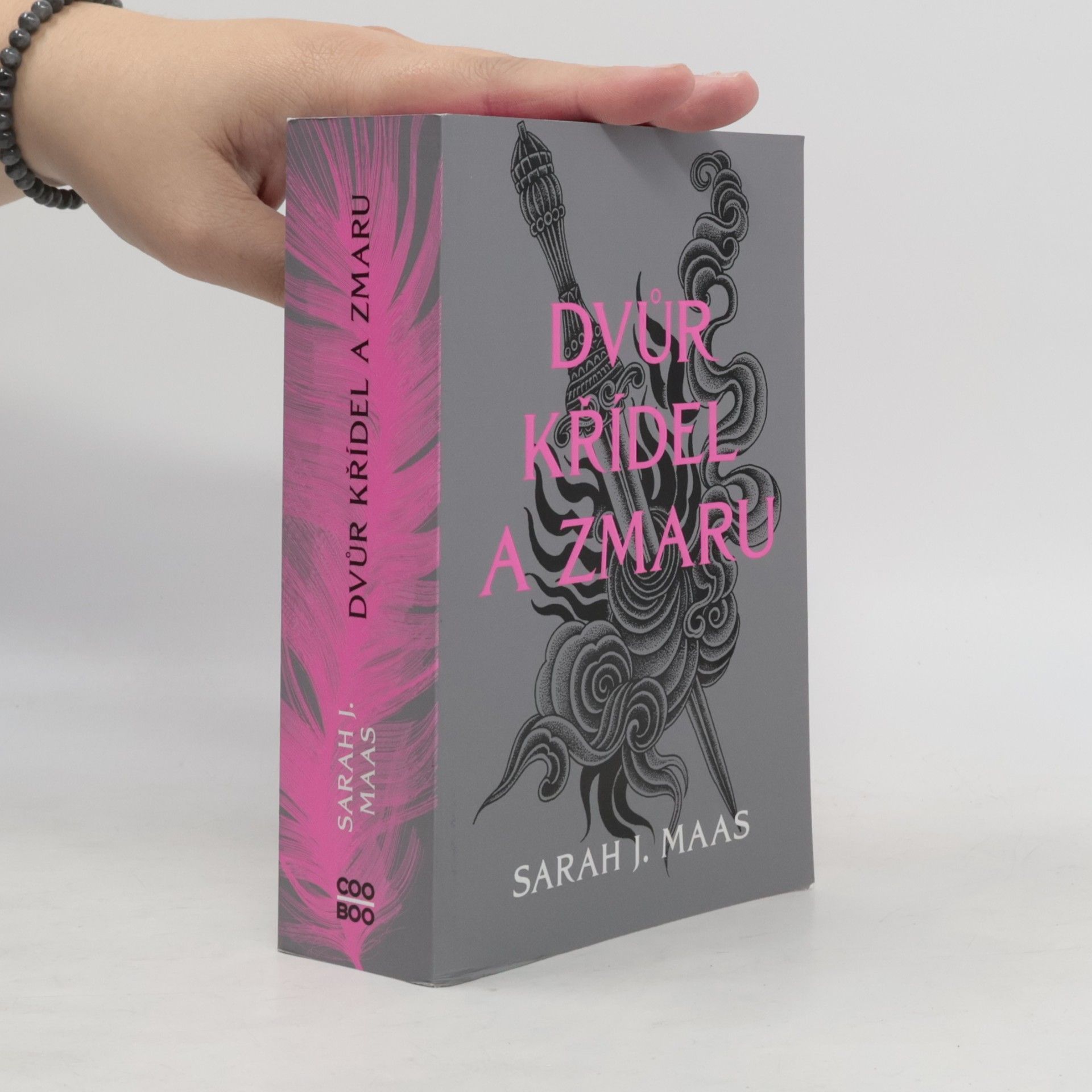 Sarah J. Maas Dvůr křídel a zmaru