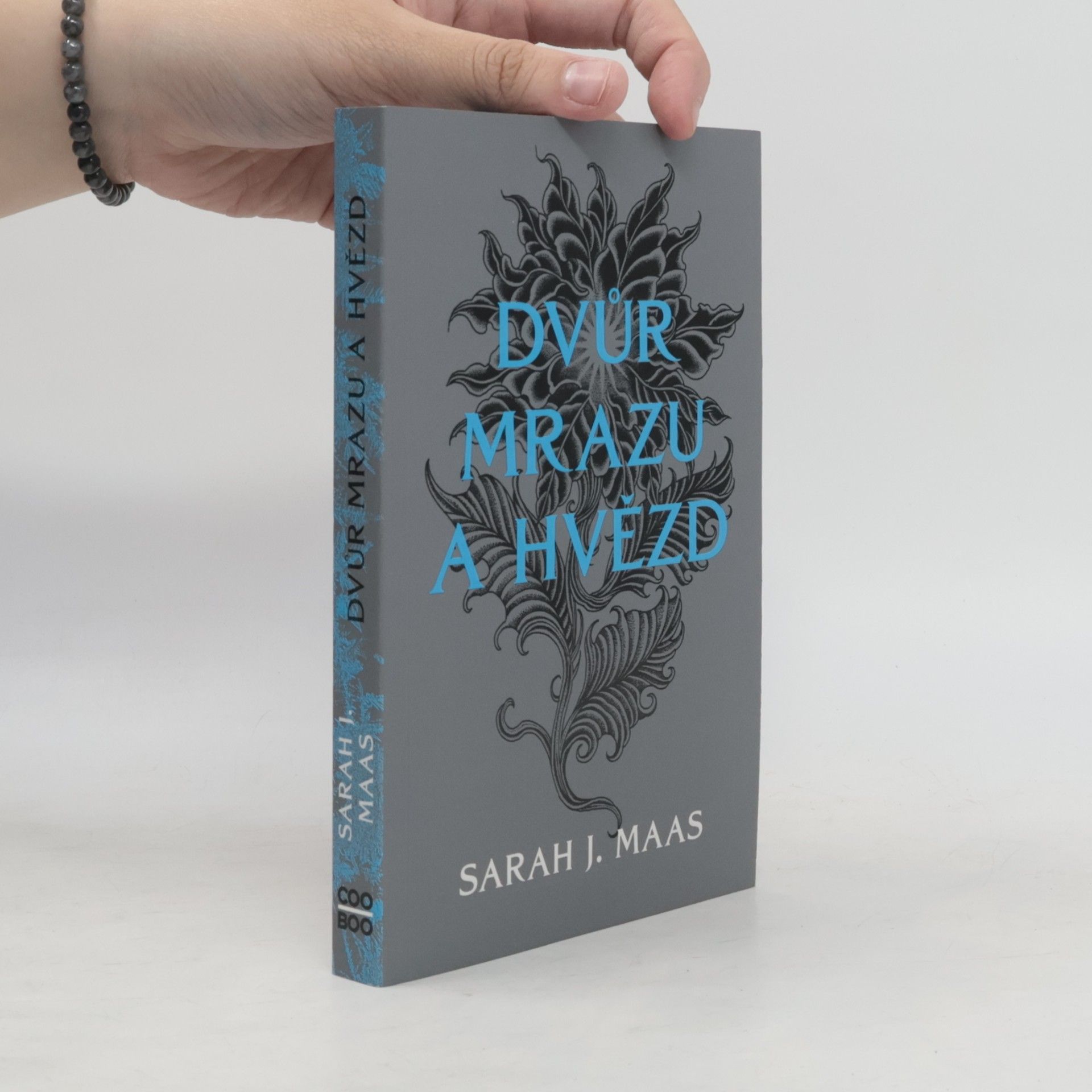Sarah J. Maas Dvůr mrazu a hvězd