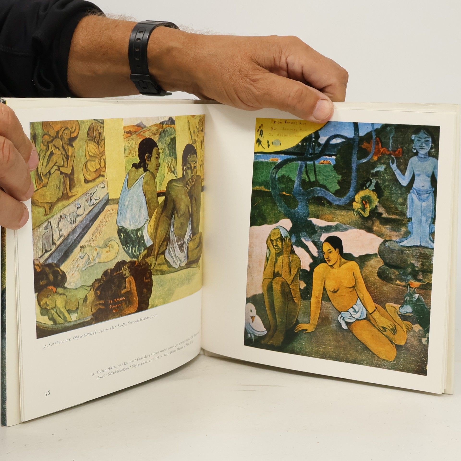 Jan Sedlák Paul Gauguin