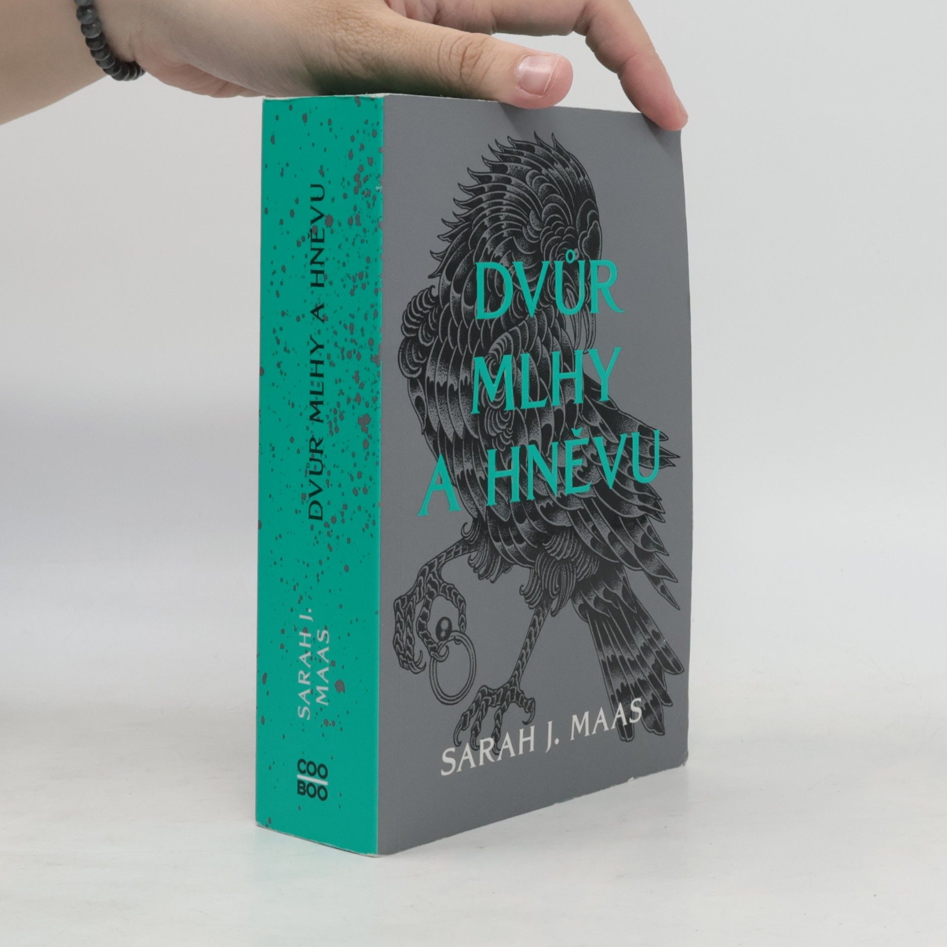 Sarah J. Maas Dvůr mlhy a hněvu
