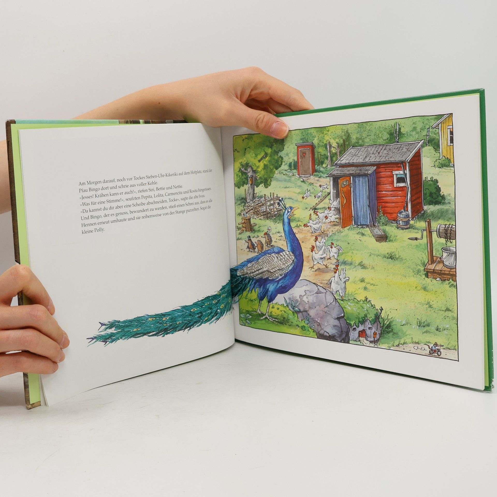 Mecka Lind Aufruhr im Hühnerstall