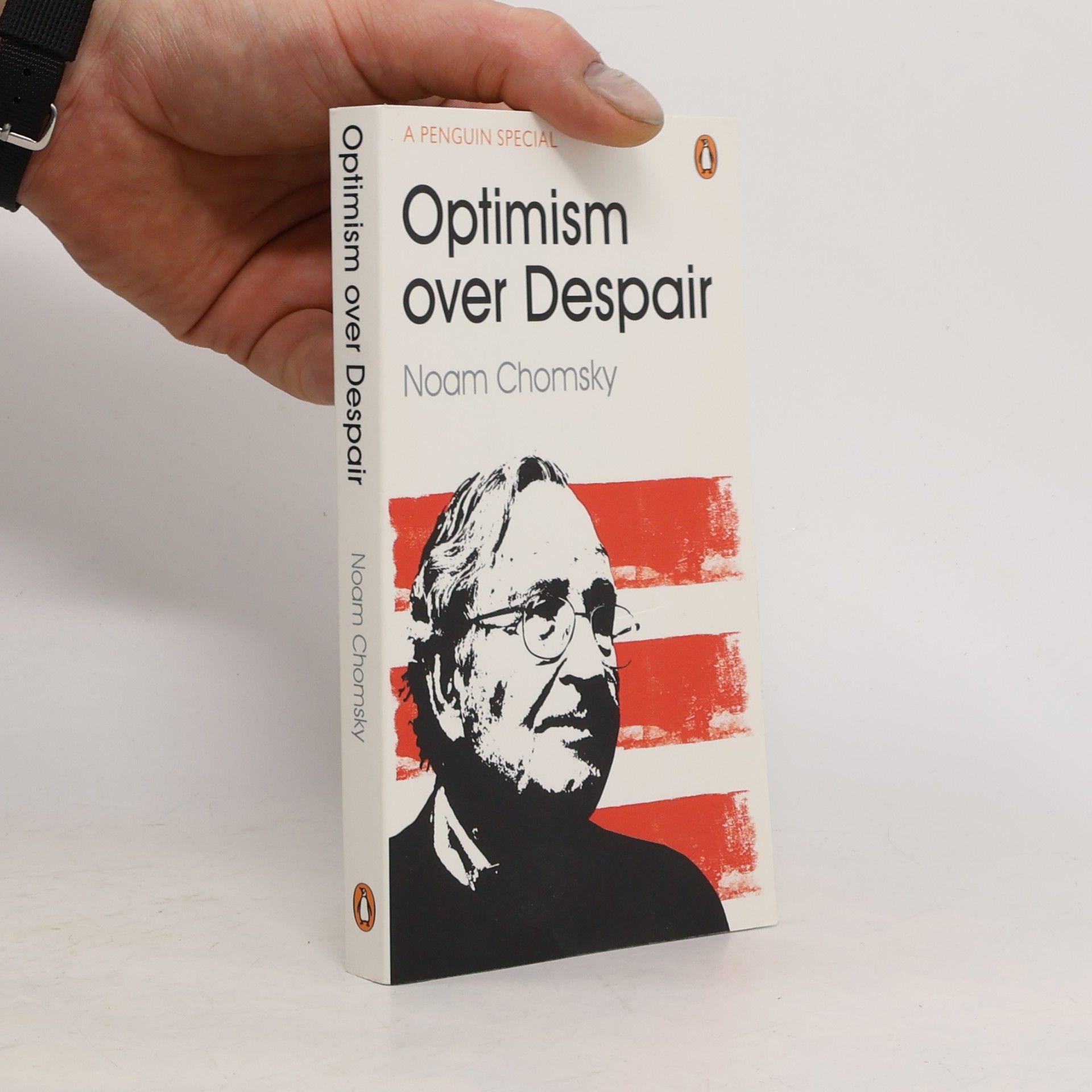 Noam Chomsky Optimism over despair