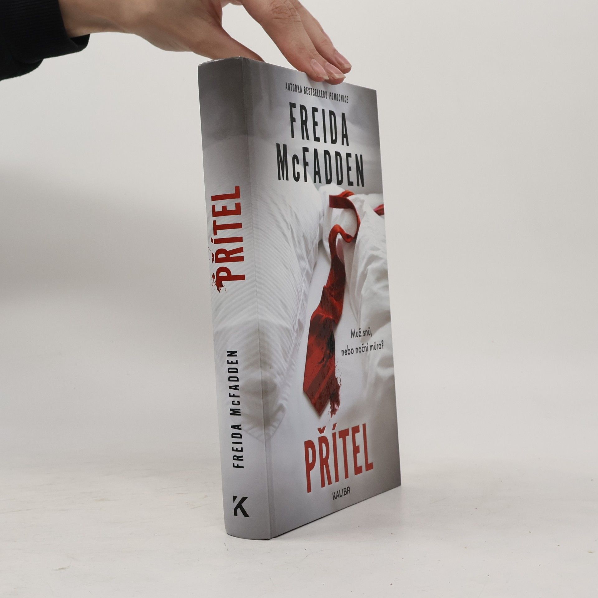 Freida McFadden Přítel