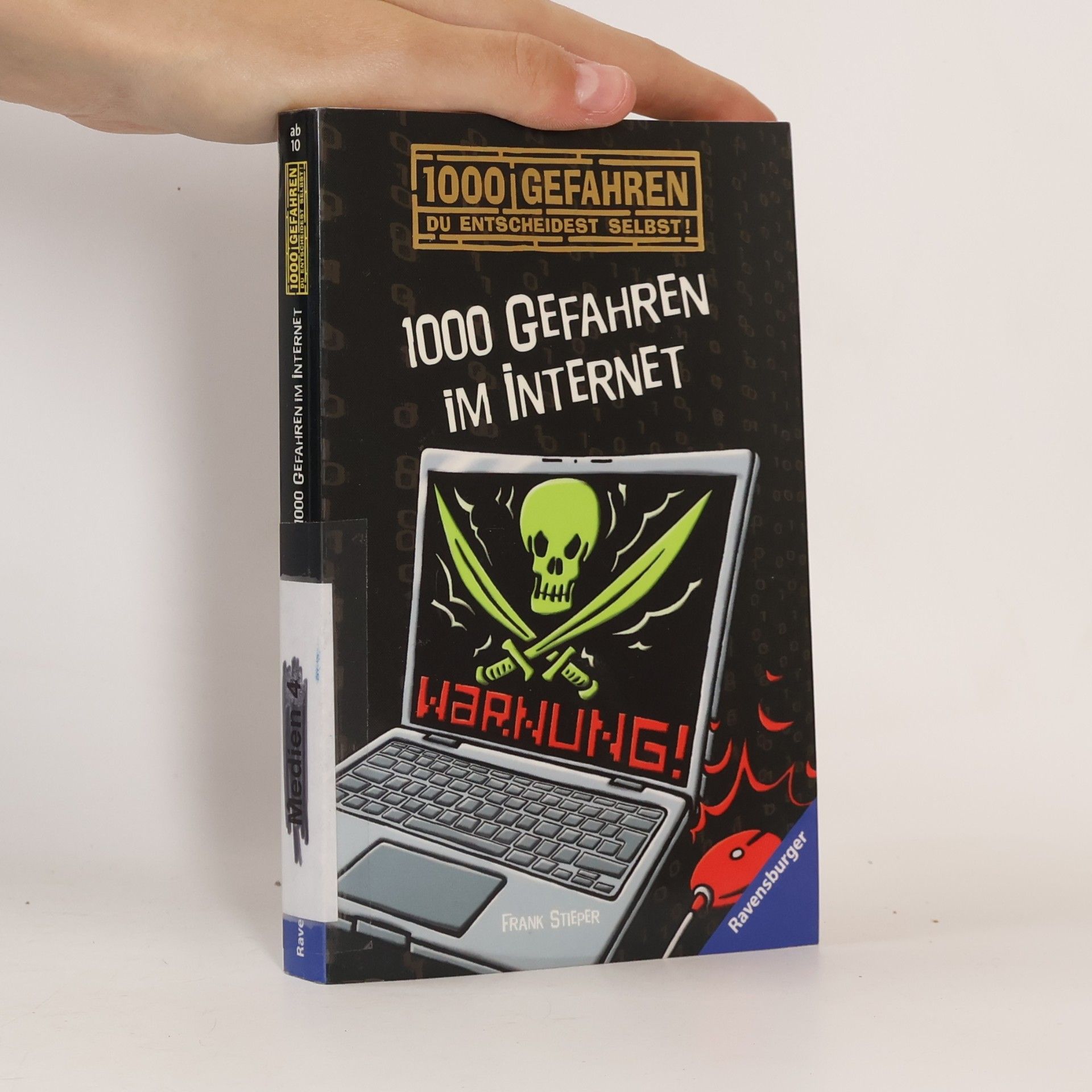Frank Stieper 1000 Gefahren im Internet