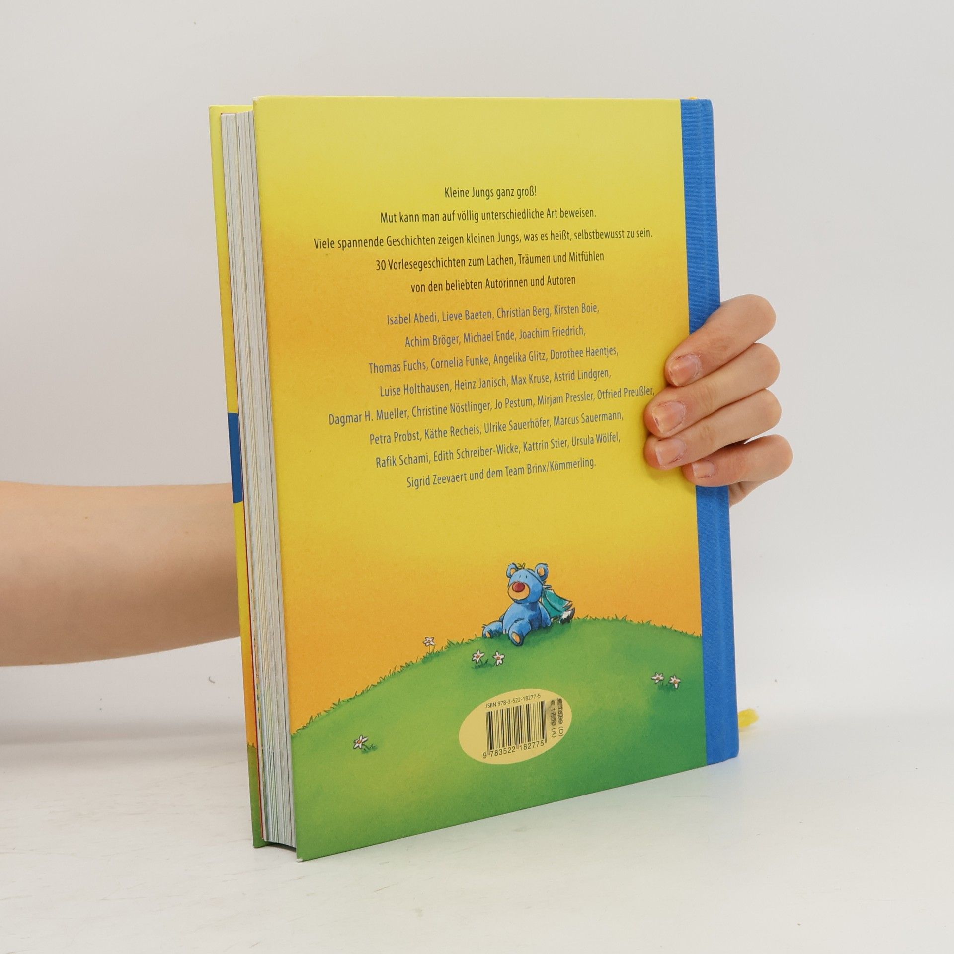 Dirk Hennig Das Vorlesebuch für kleine starke Jungs