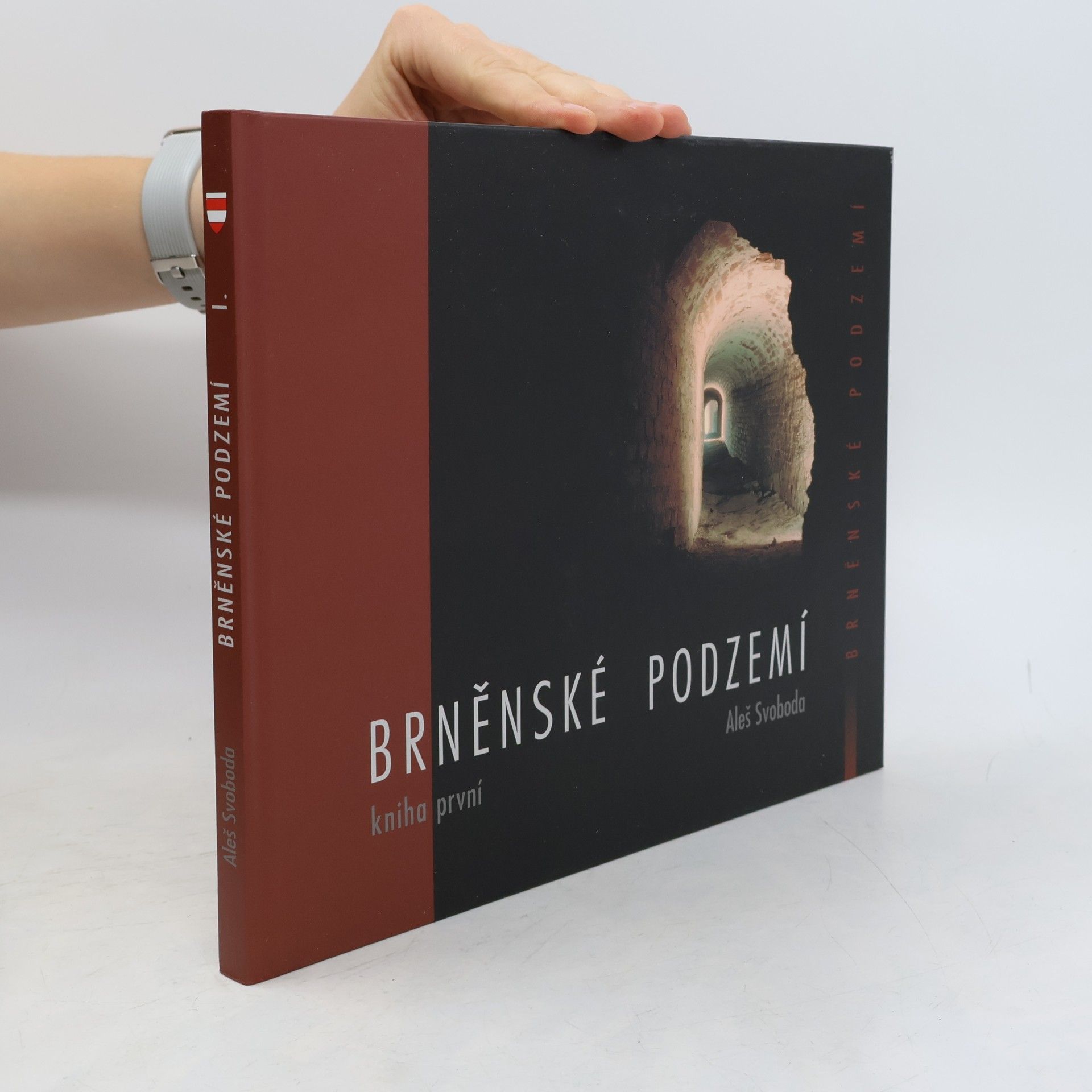 Aleš Svoboda Brněnské podzemí - Kniha první