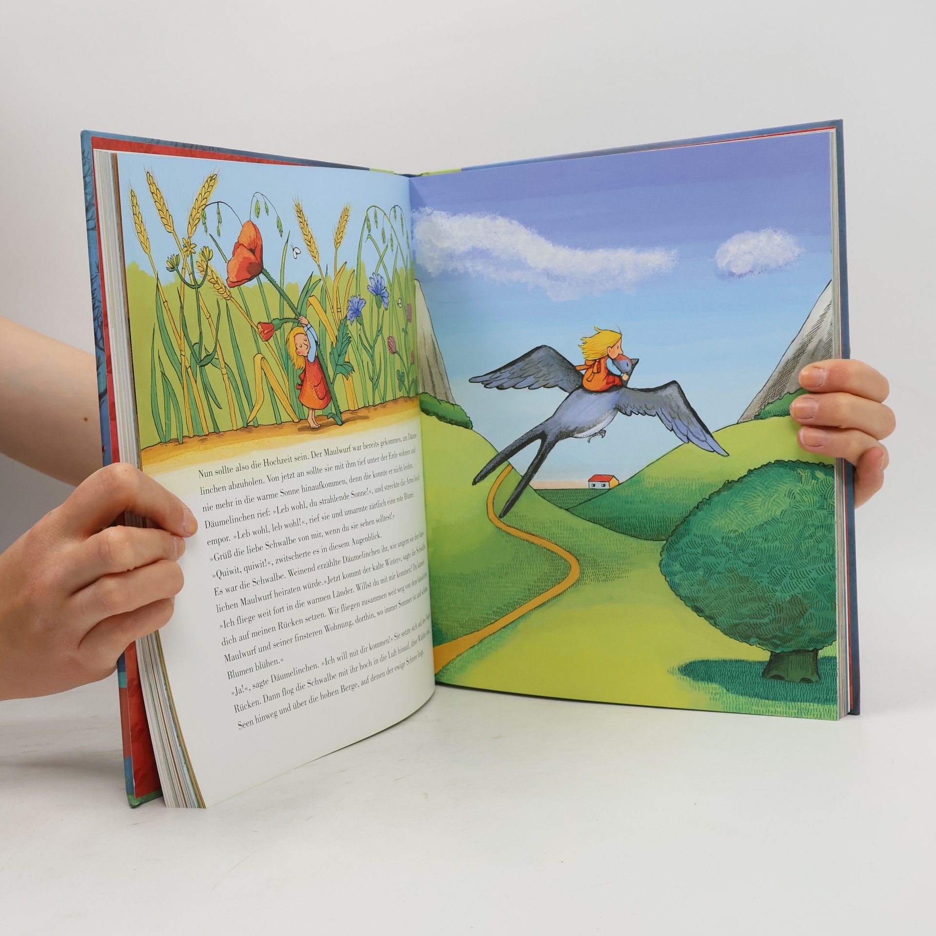 Hans Christian Andersen Das grosse Märchenbilderbuch