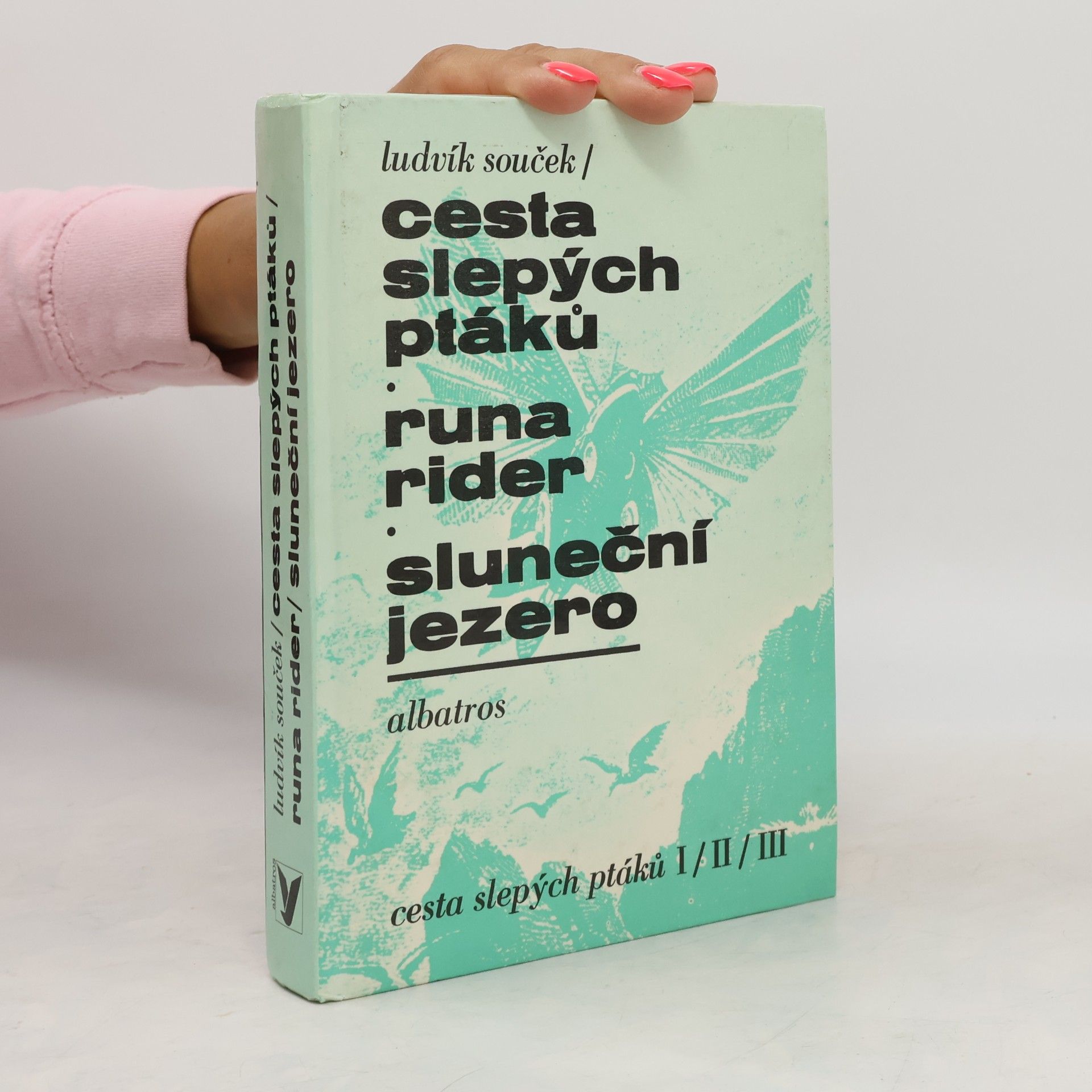 Ludvík Souček Cesta slepých ptáků. Runa rider. Sluneční jezero