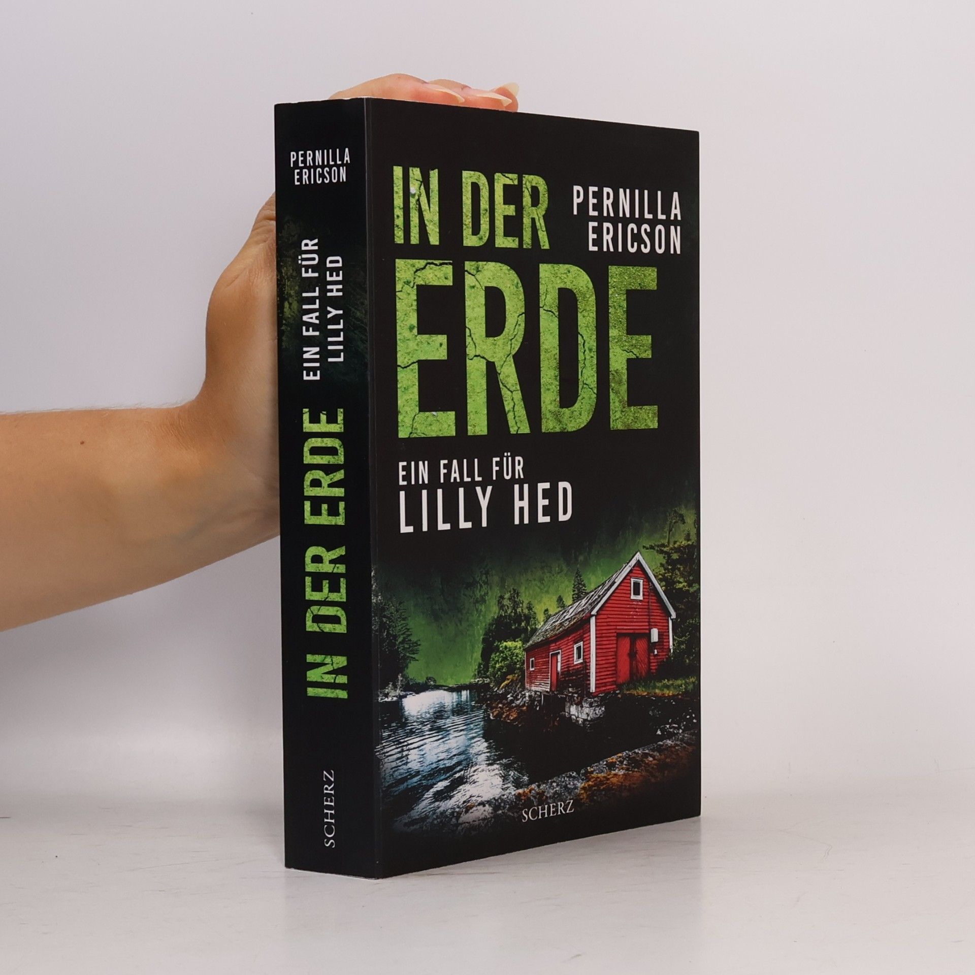 Pernilla Ericson In der Erde / Lilly Hed Bd.3