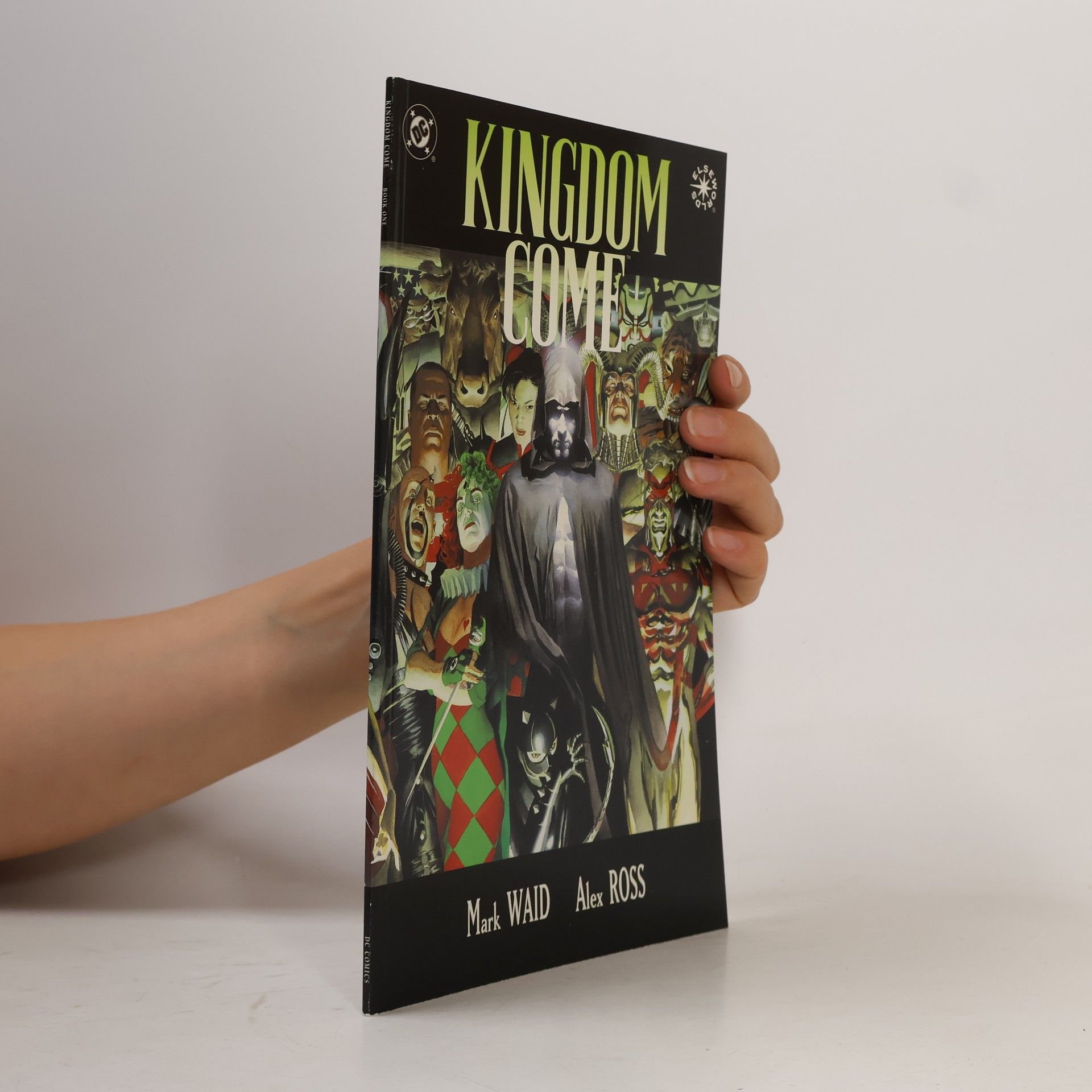 Mark Waid Thy Kingdom Come