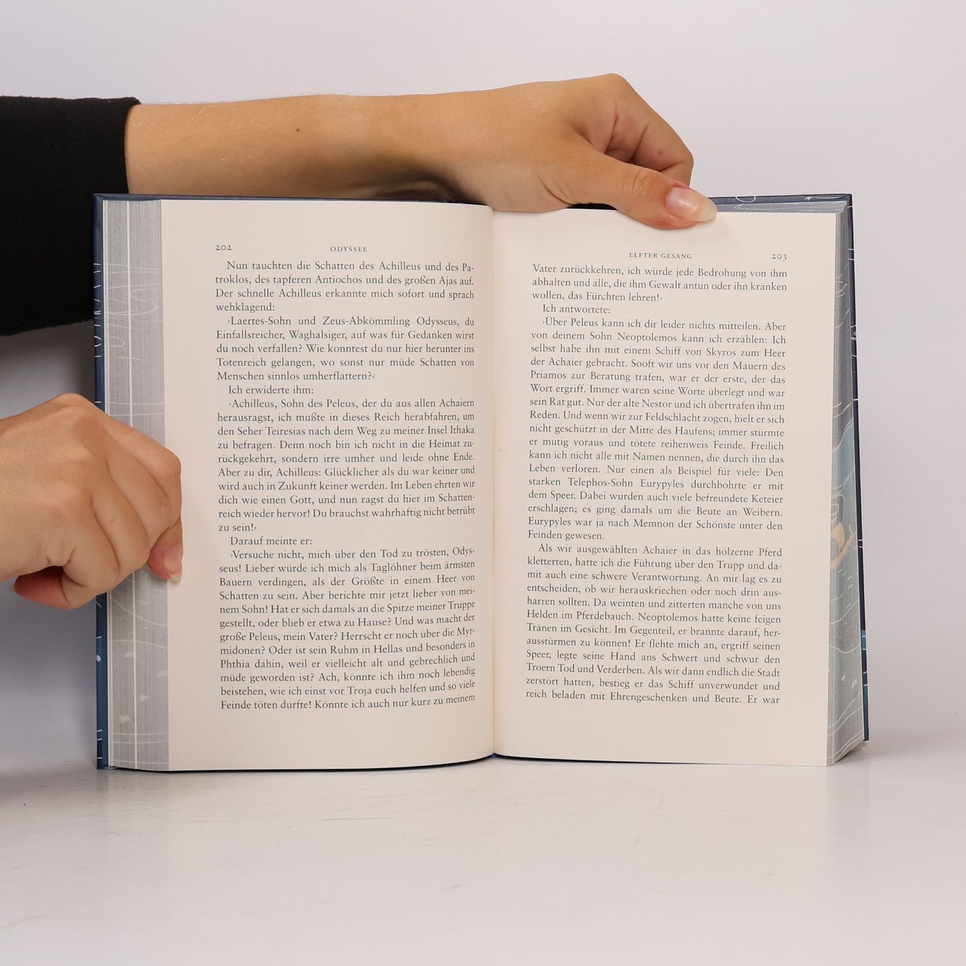 Homér Die Odyssee: Hochwertige Schmuckausgabe mit Motiv-Farbschnitt | Das Epos über die legendären Irrfahrten des Odysseus | Neu verfilmt von Christopher Nolan (Klassiker im Insel Verlag)