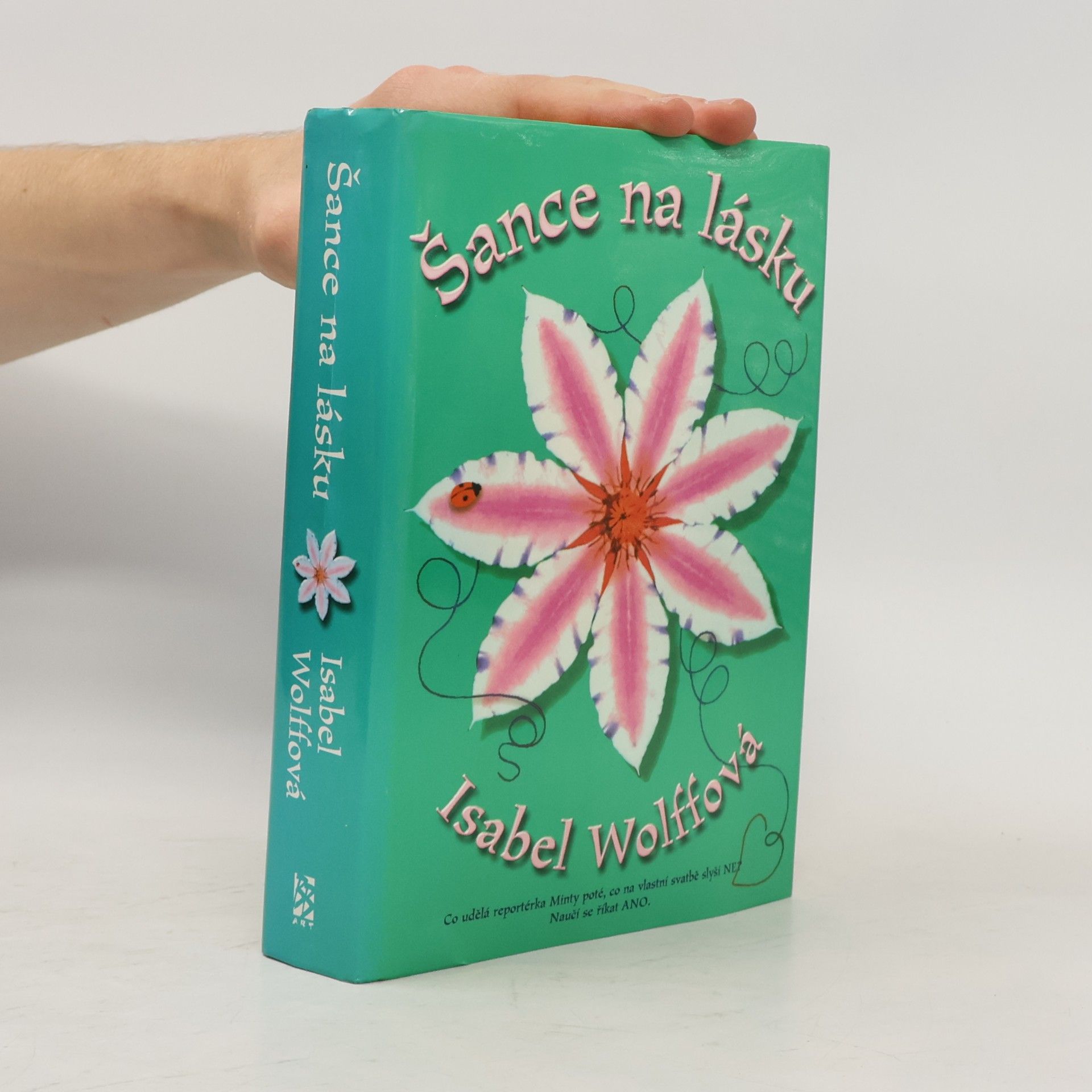 Isabel Wolff Šance na lásku