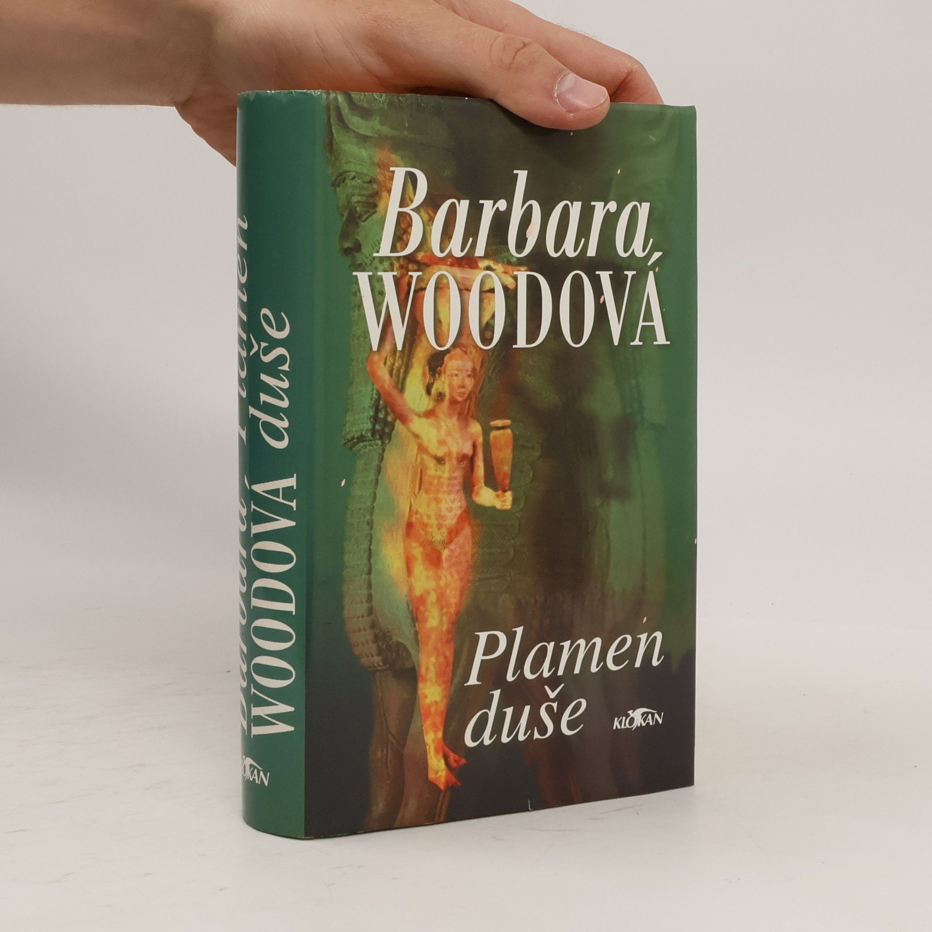 Barbara Wood Plamen duše