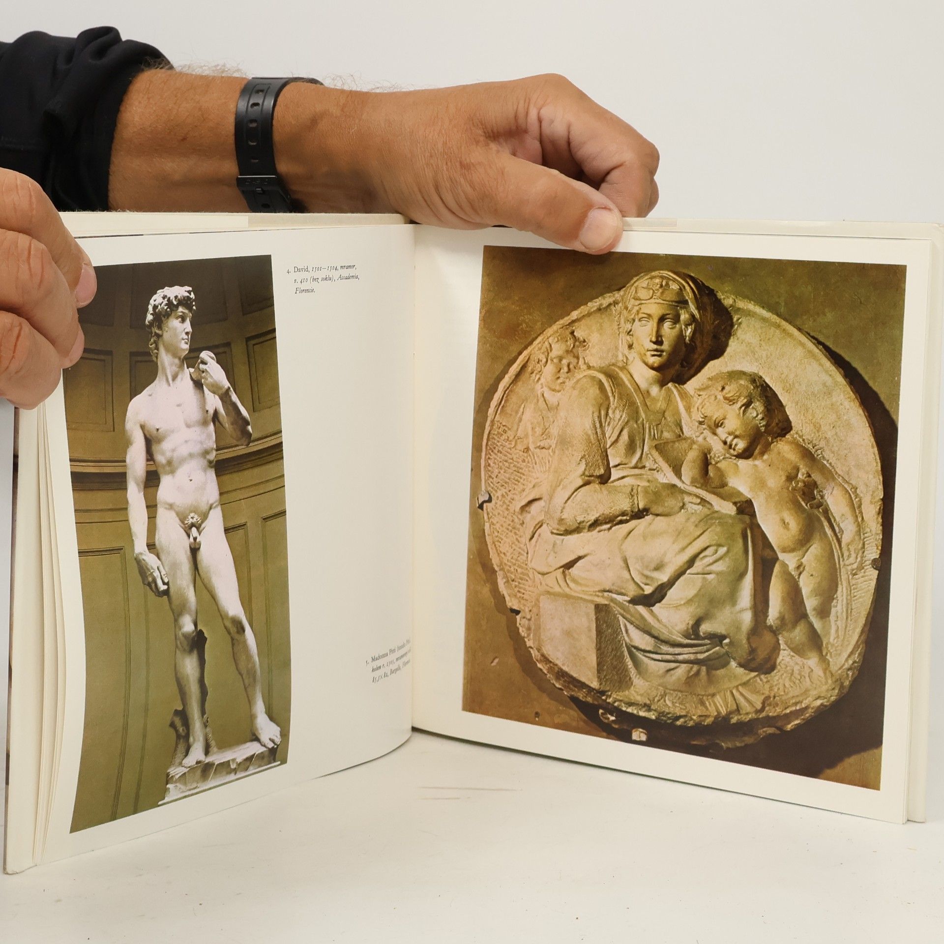 Oldřich J. Blažíček Michelangelo