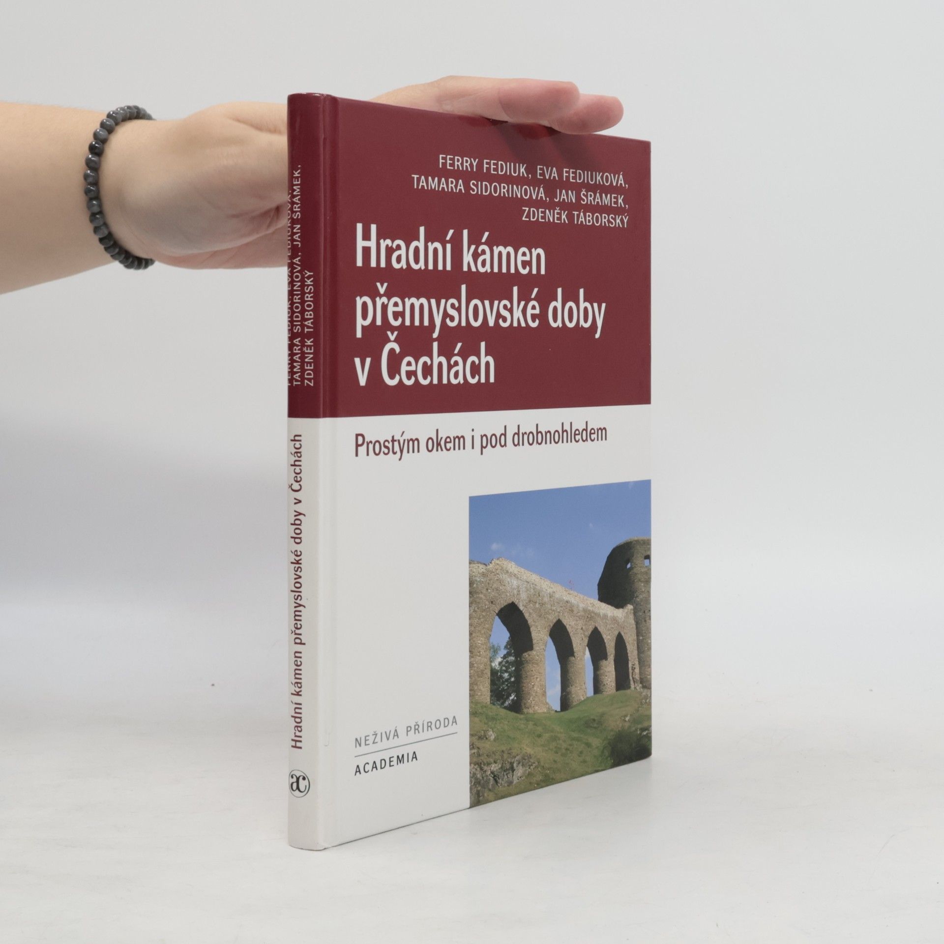 František Fediuk Hradní kámen přemyslovské doby v Čechách