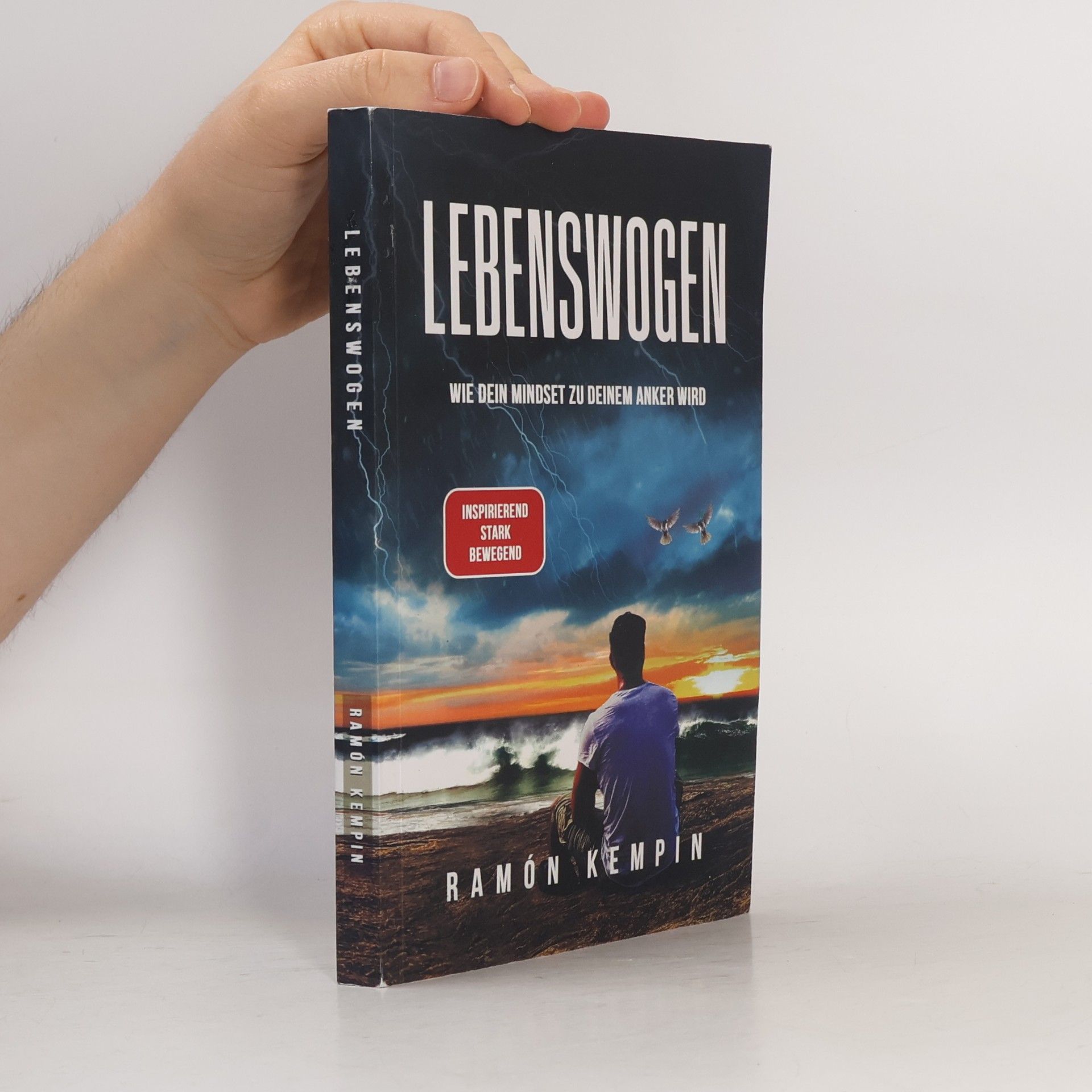 Ramón Kempin Lebenswogen. Wie Dein Mindset zu Deinem Anker wird