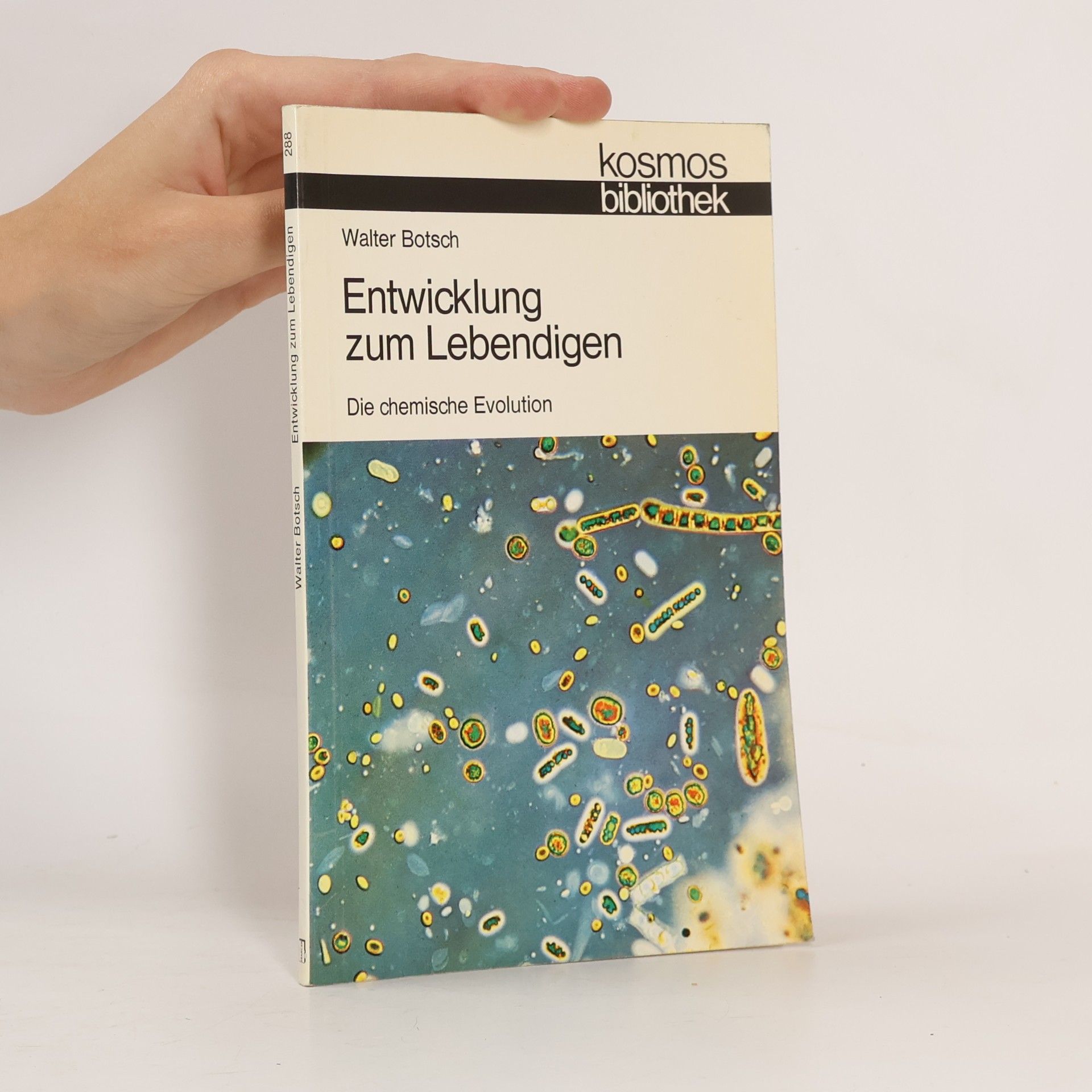 Walter Botsch Entwicklung zum Lebendigen
