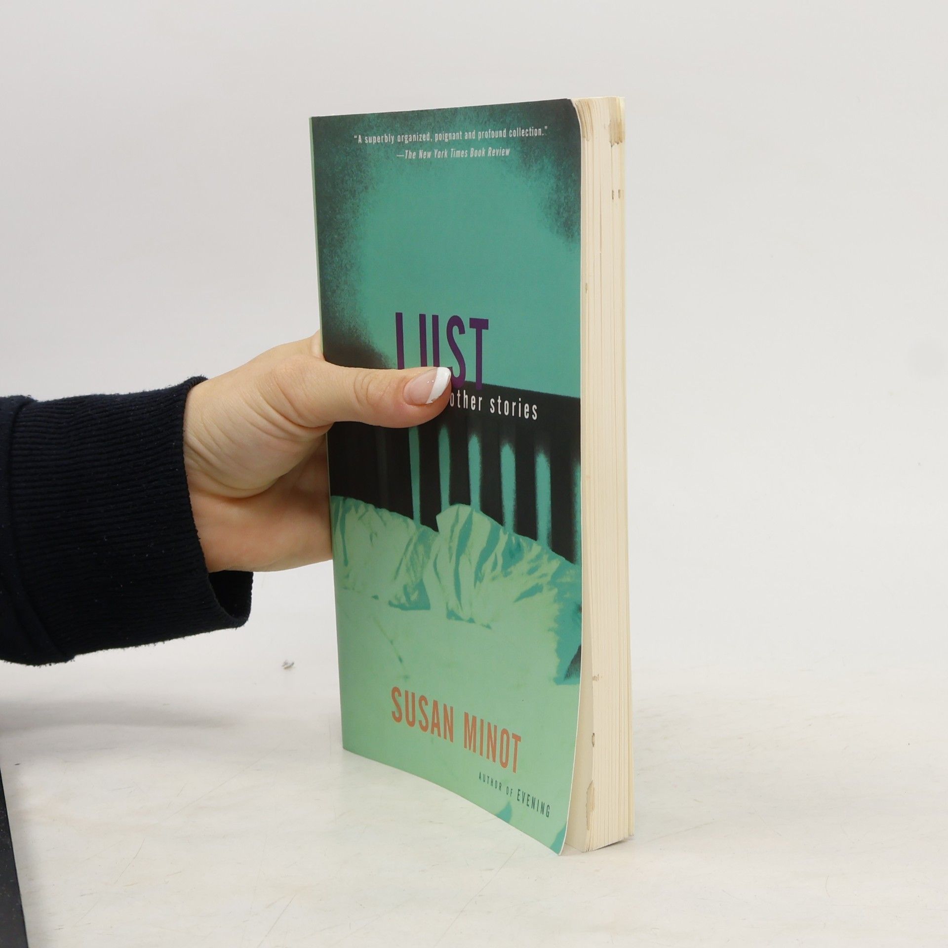 Susan Minot Lust and Other Stories