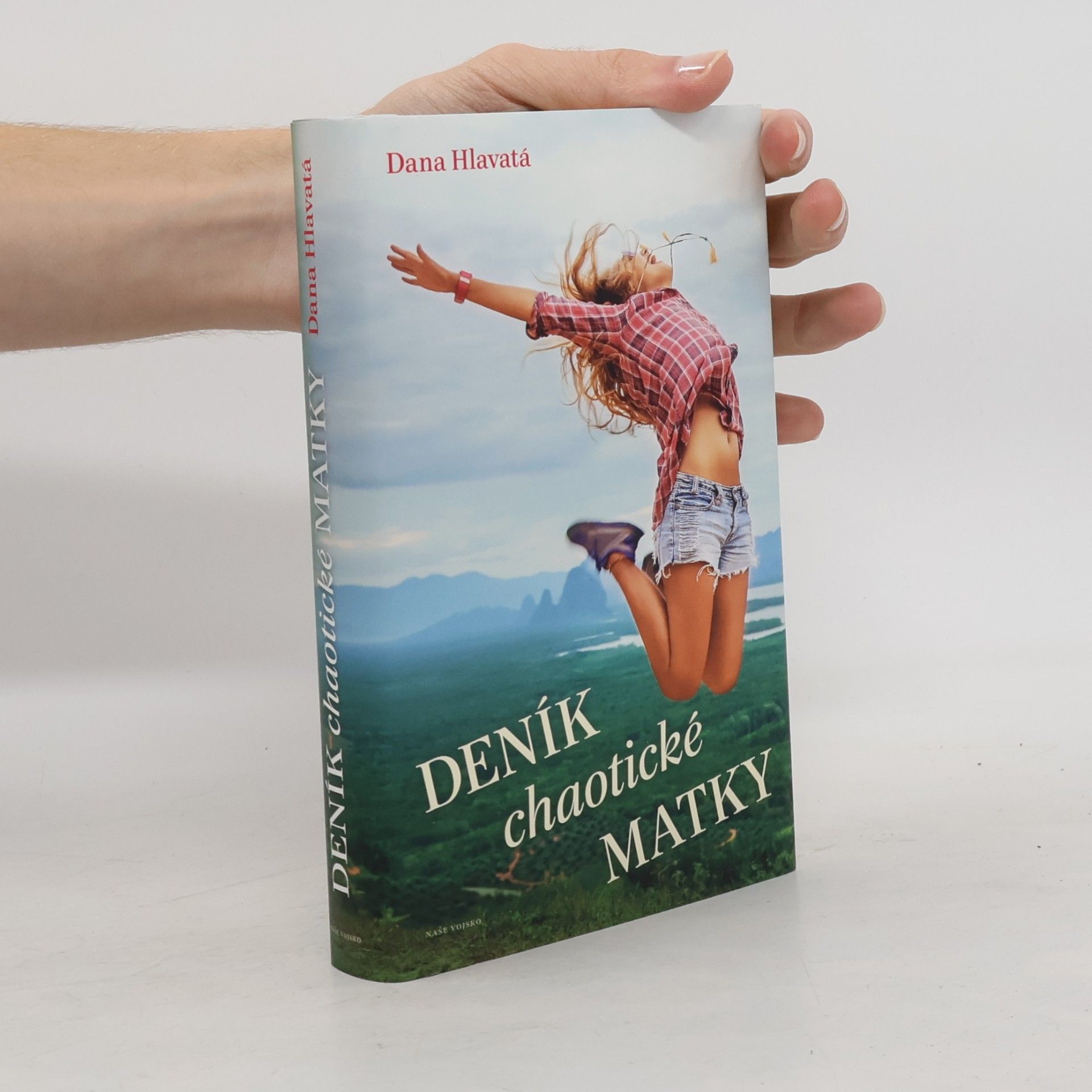 Dana Hlavatá Deník chaotické matky