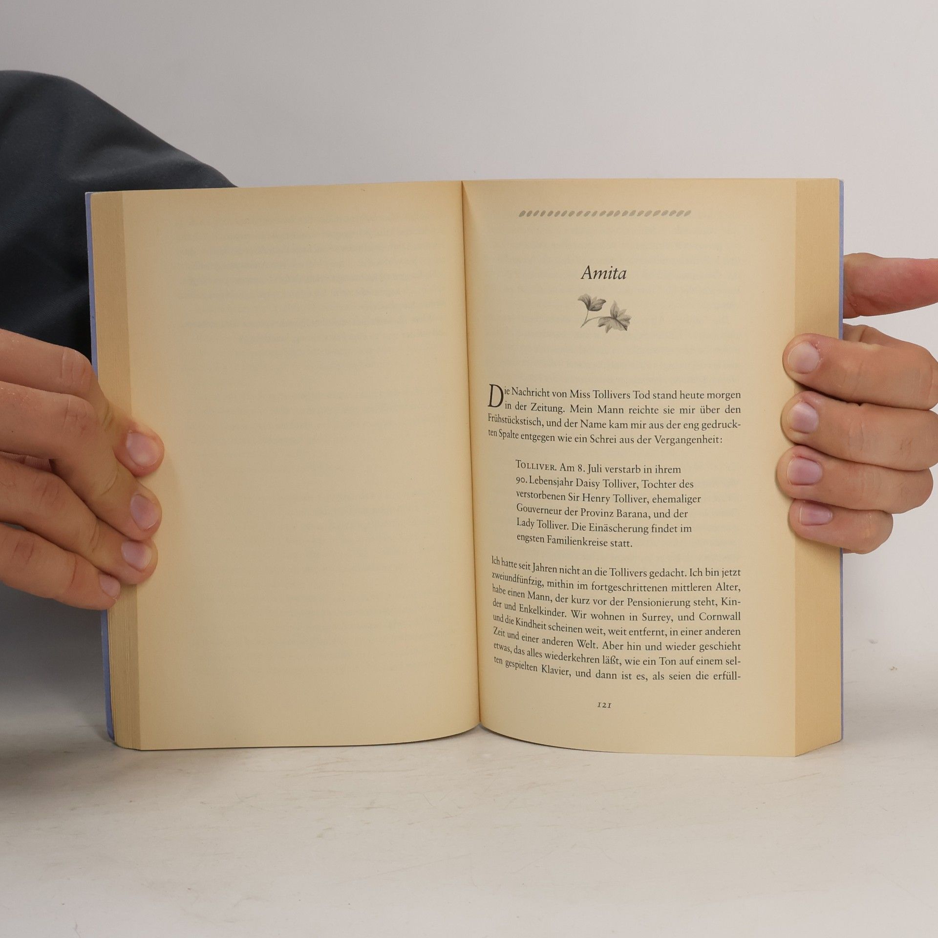 Rosamunde Pilcher Das blaue Zimmer