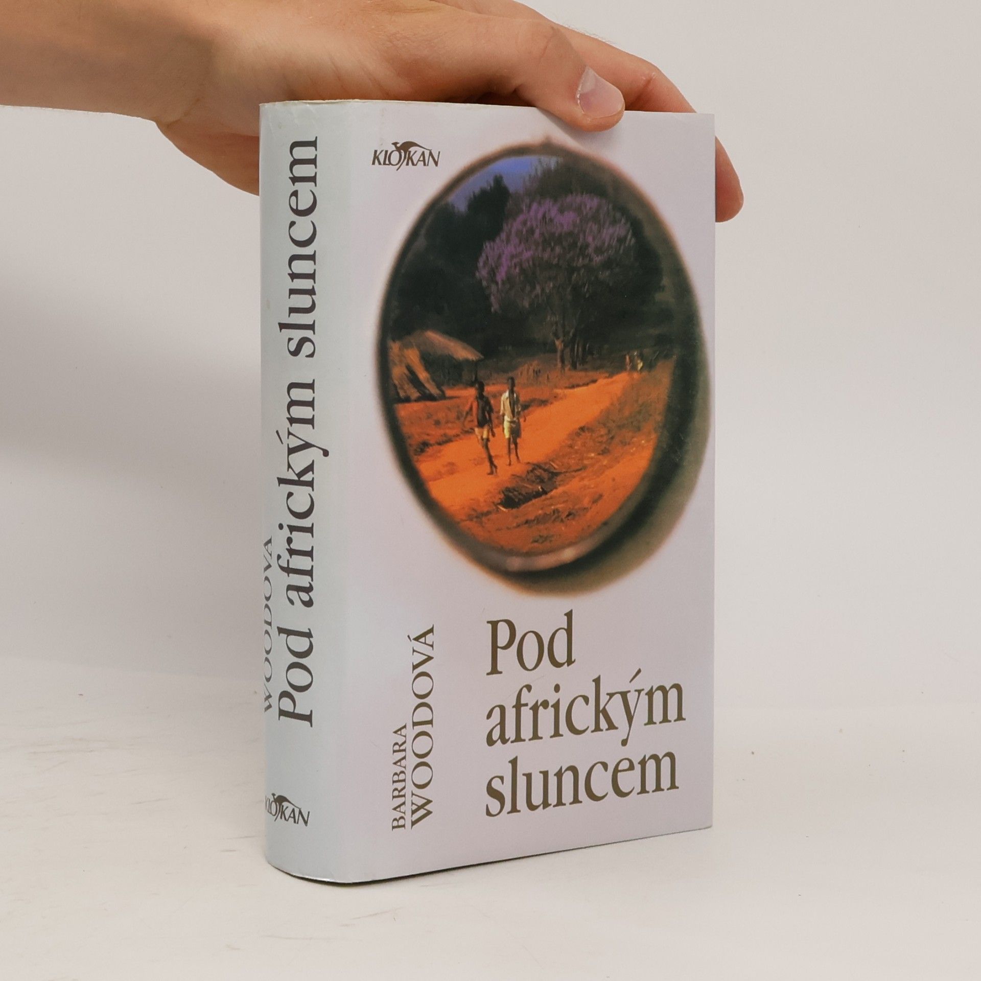 Barbara Wood Pod africkým sluncem
