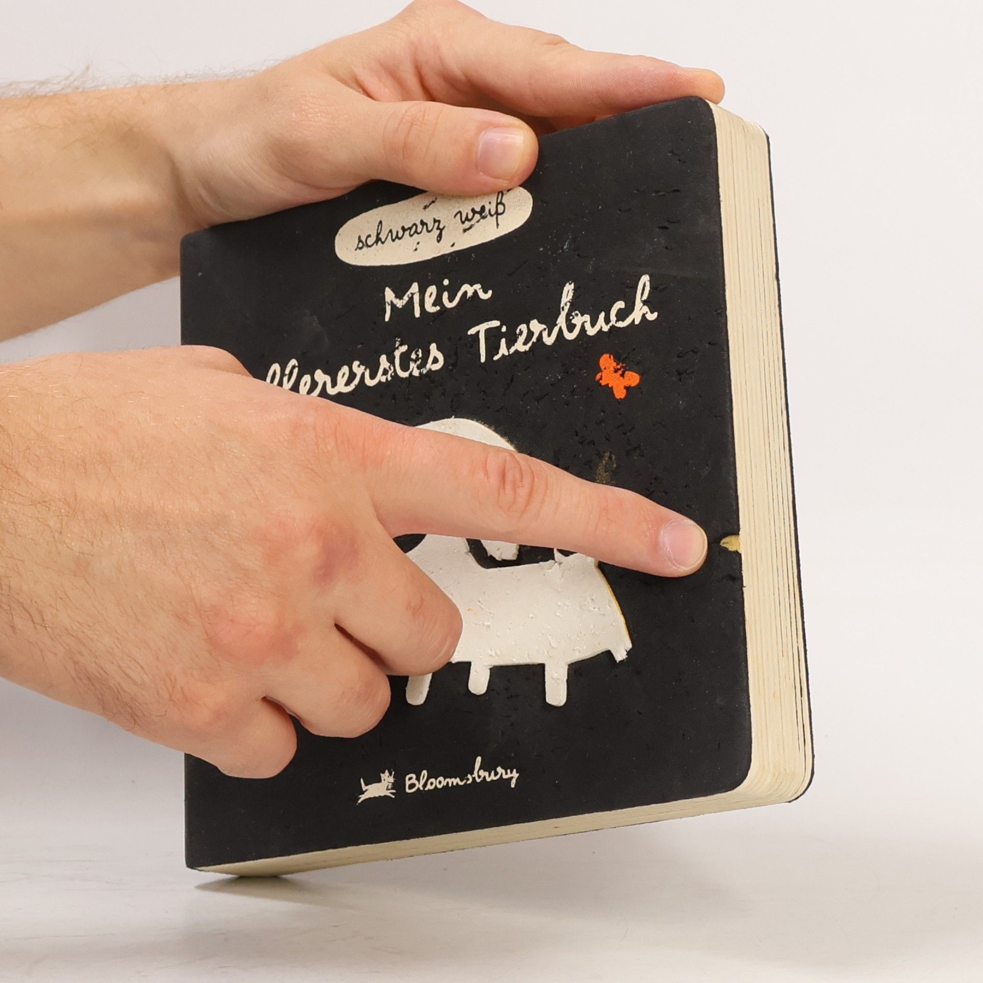 Xavier Deneux Mein allererstes Tierbuch