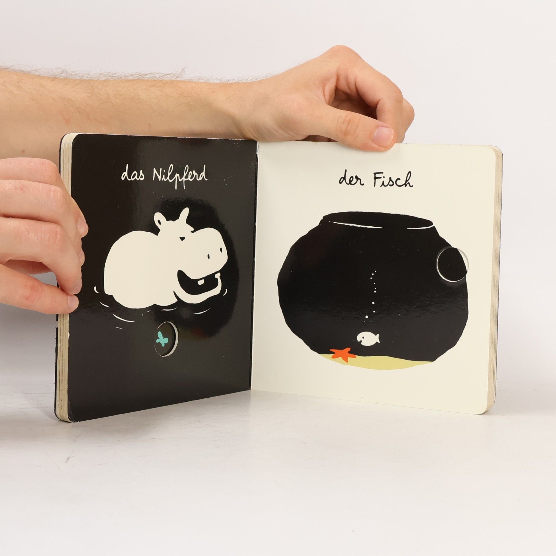 Xavier Deneux Mein allererstes Tierbuch