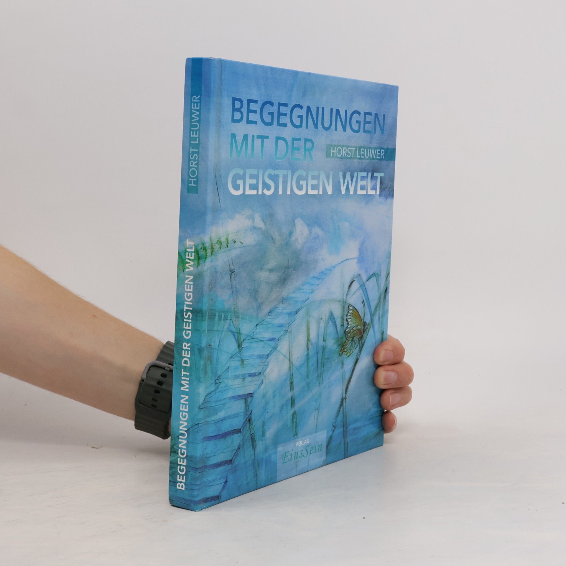 Horst Leuwer Begegnungen mit der Geistigen Welt