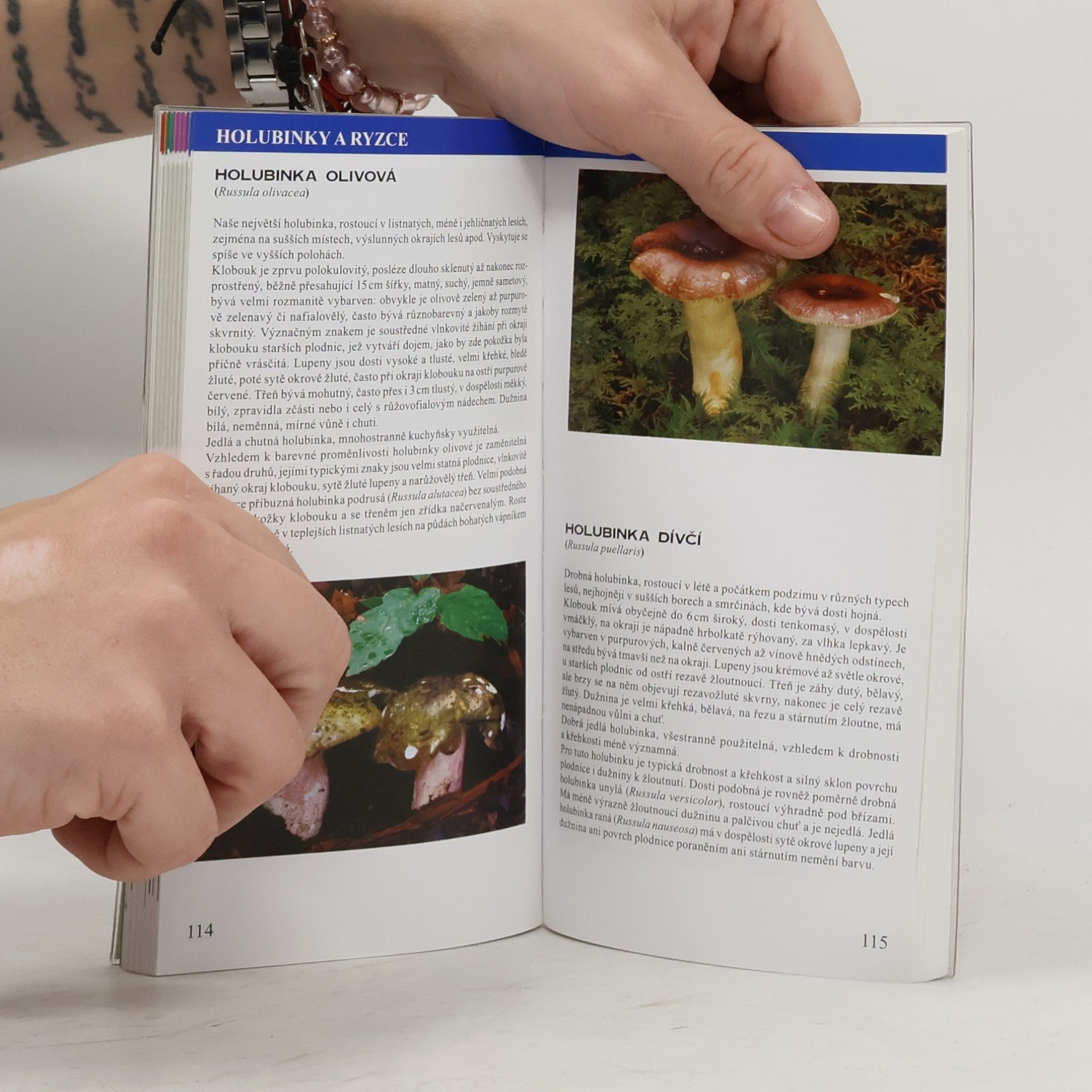 Daniel Dvořák Kapesní atlas jedlých hub