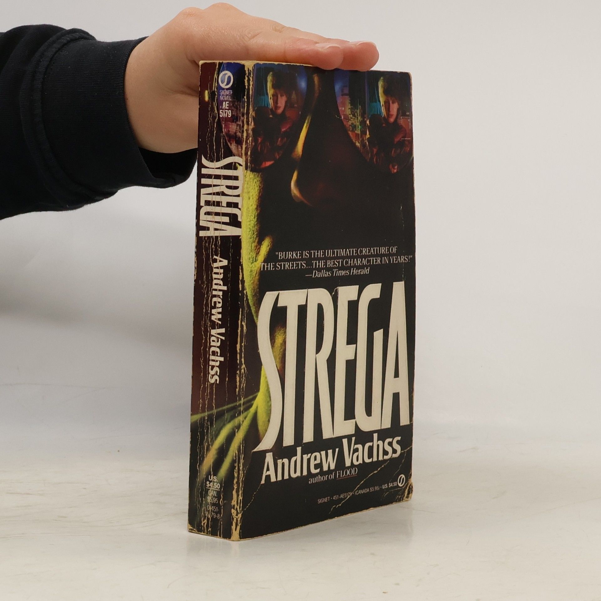 Andrew H. Vachss Strega
