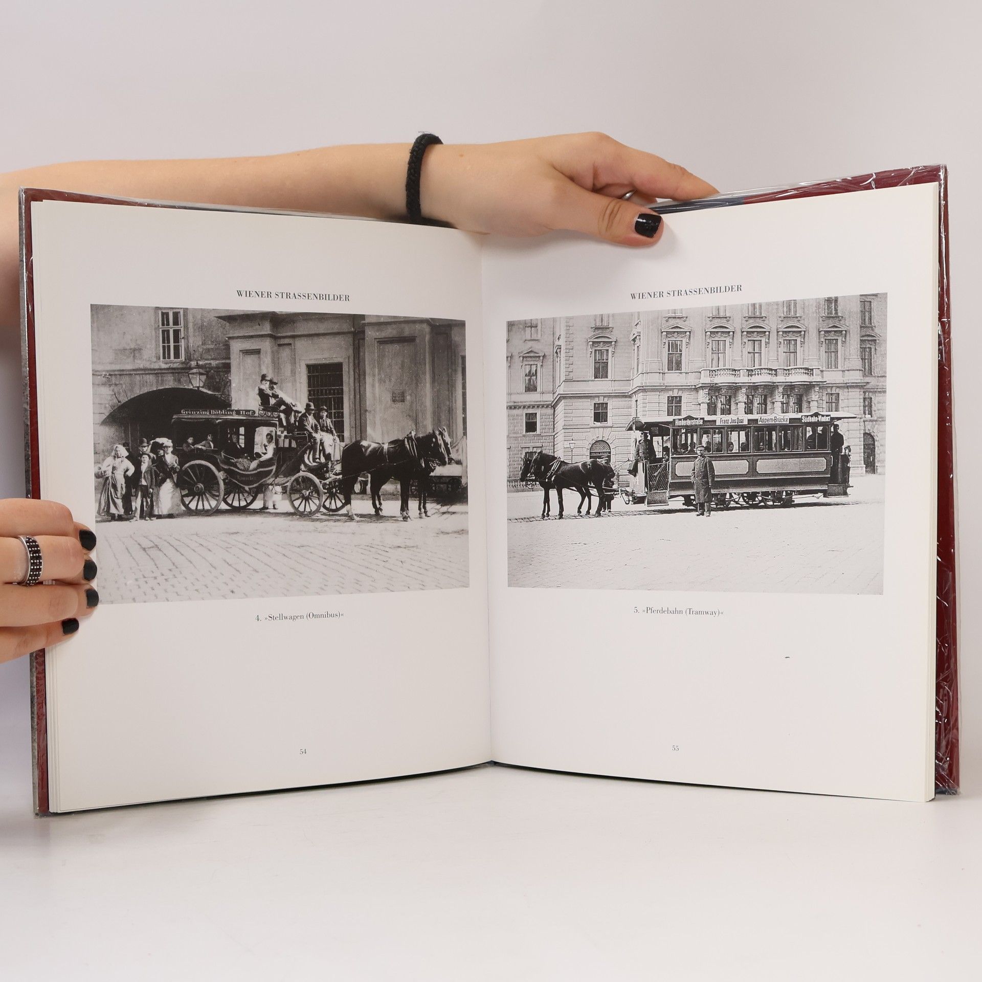 Helfried Seemann Wiener Typen und Strassenbilder
